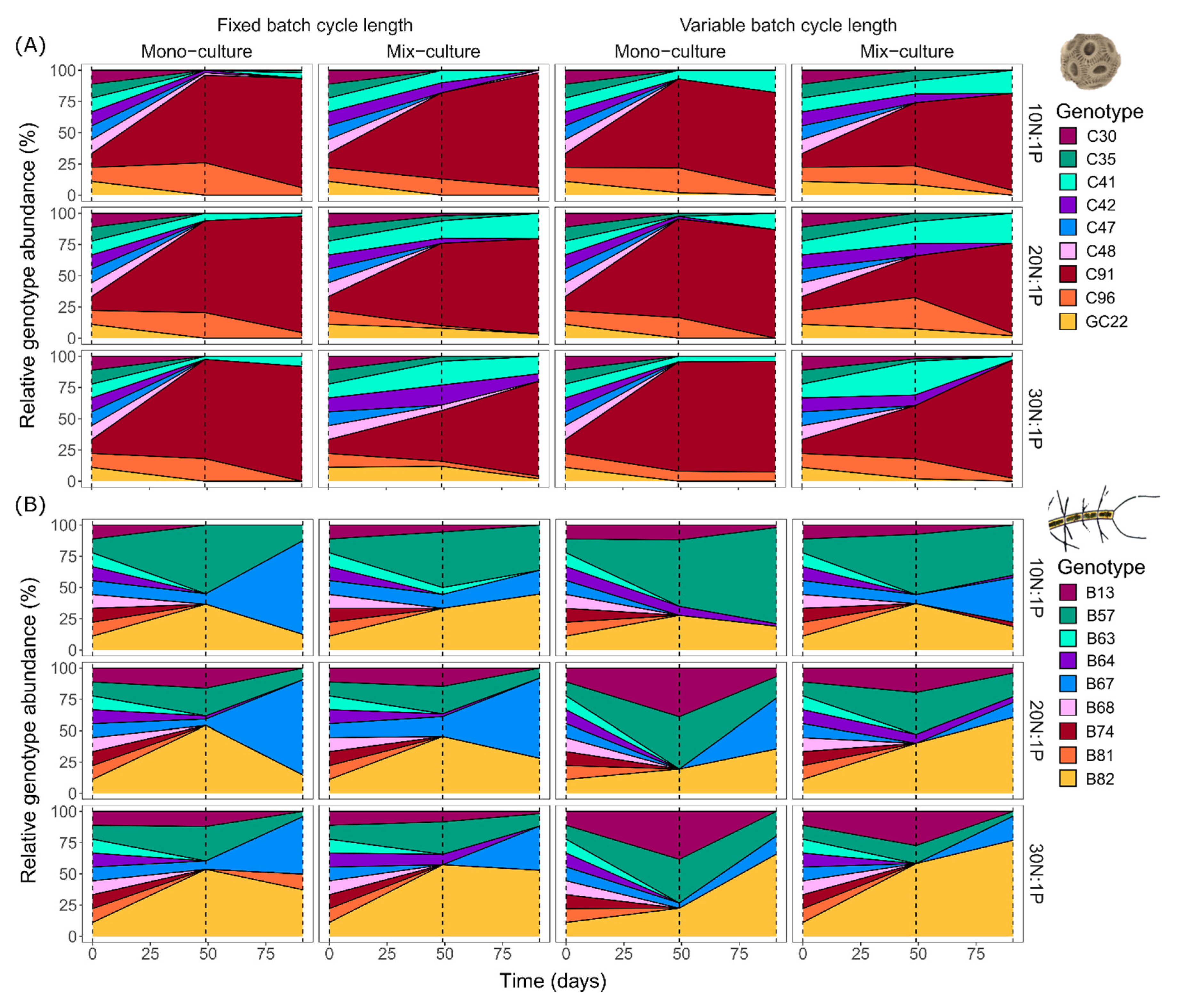 Microorganisms 10 00113 g003