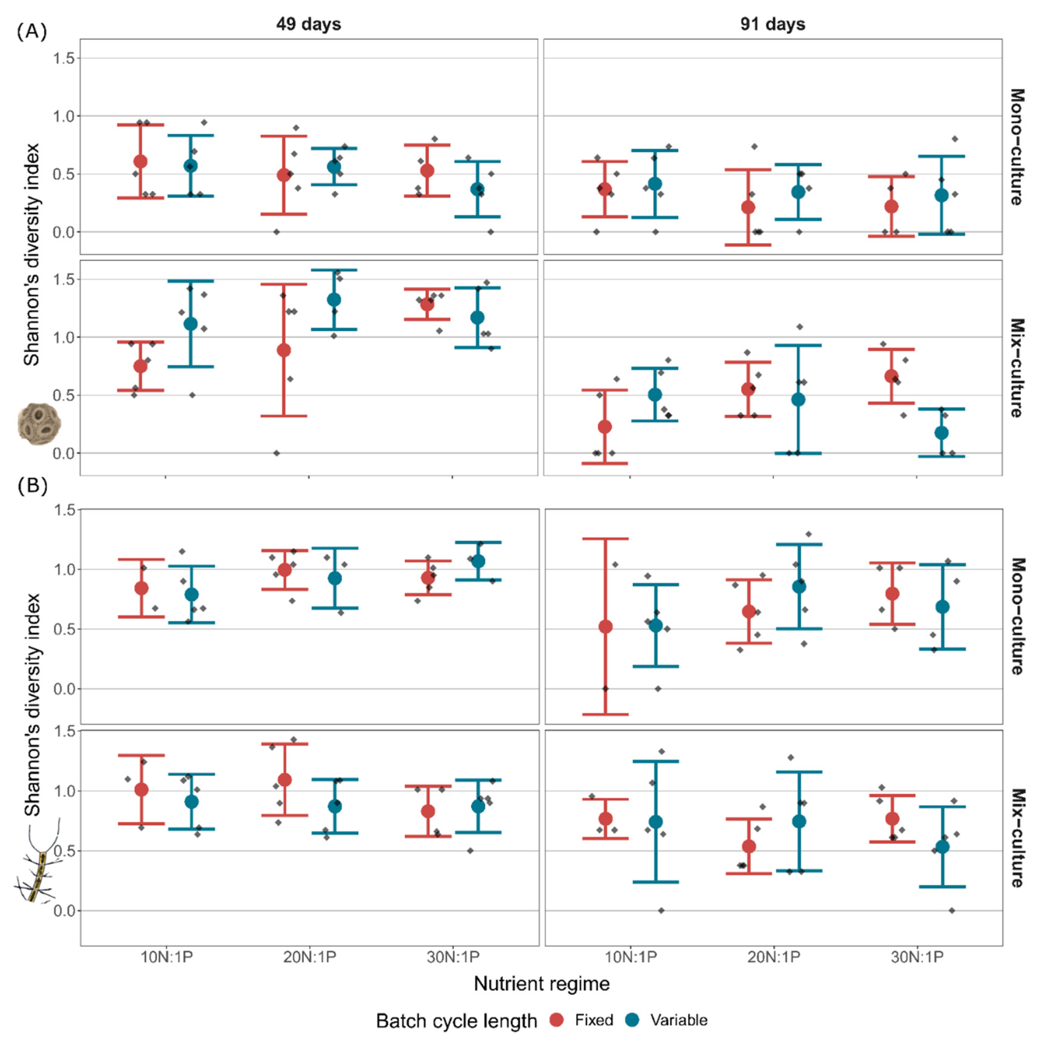 Microorganisms 10 00113 g004