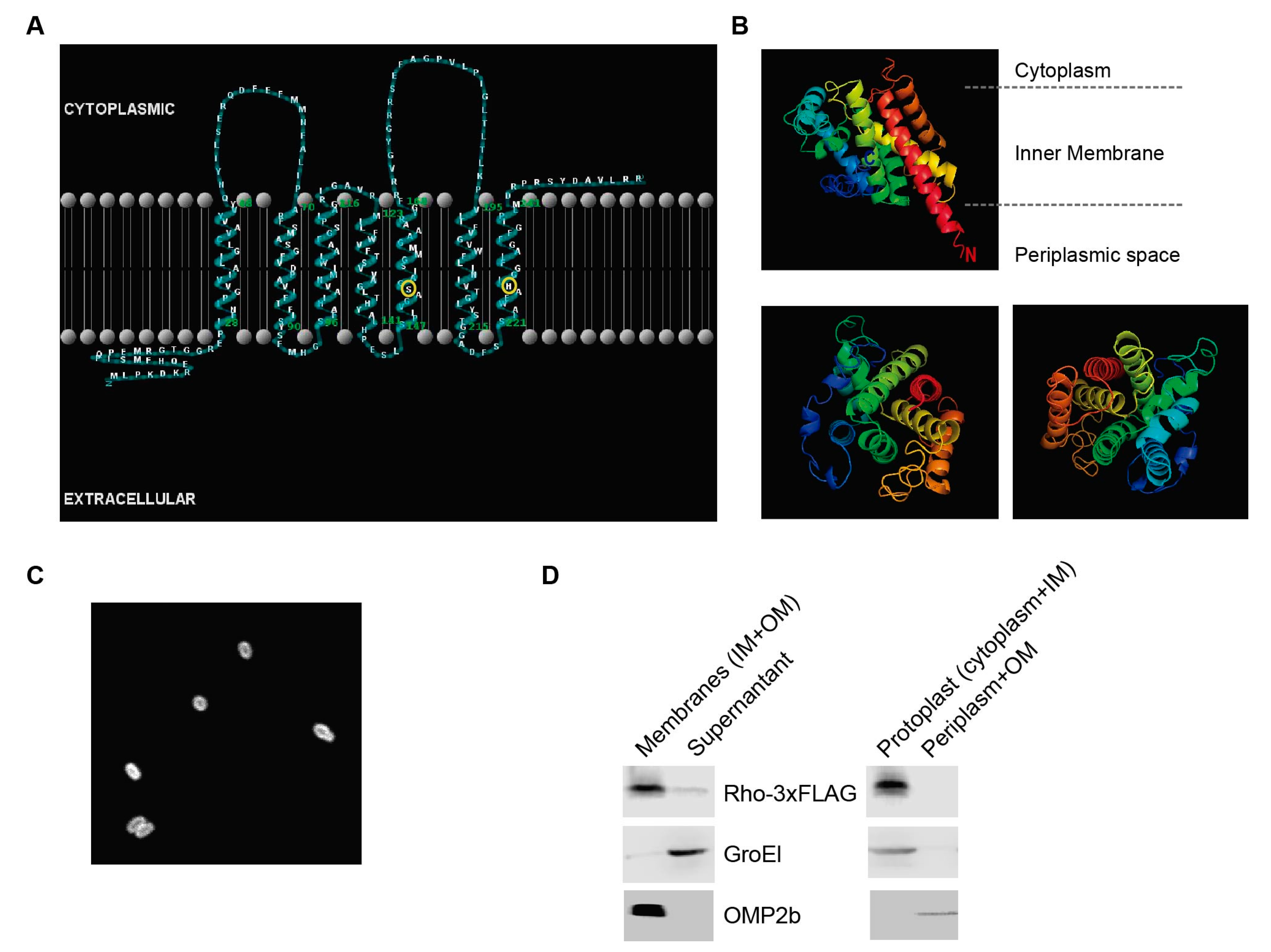 Microorganisms 10 00114 g002 Microorganisms 10 00114 g002