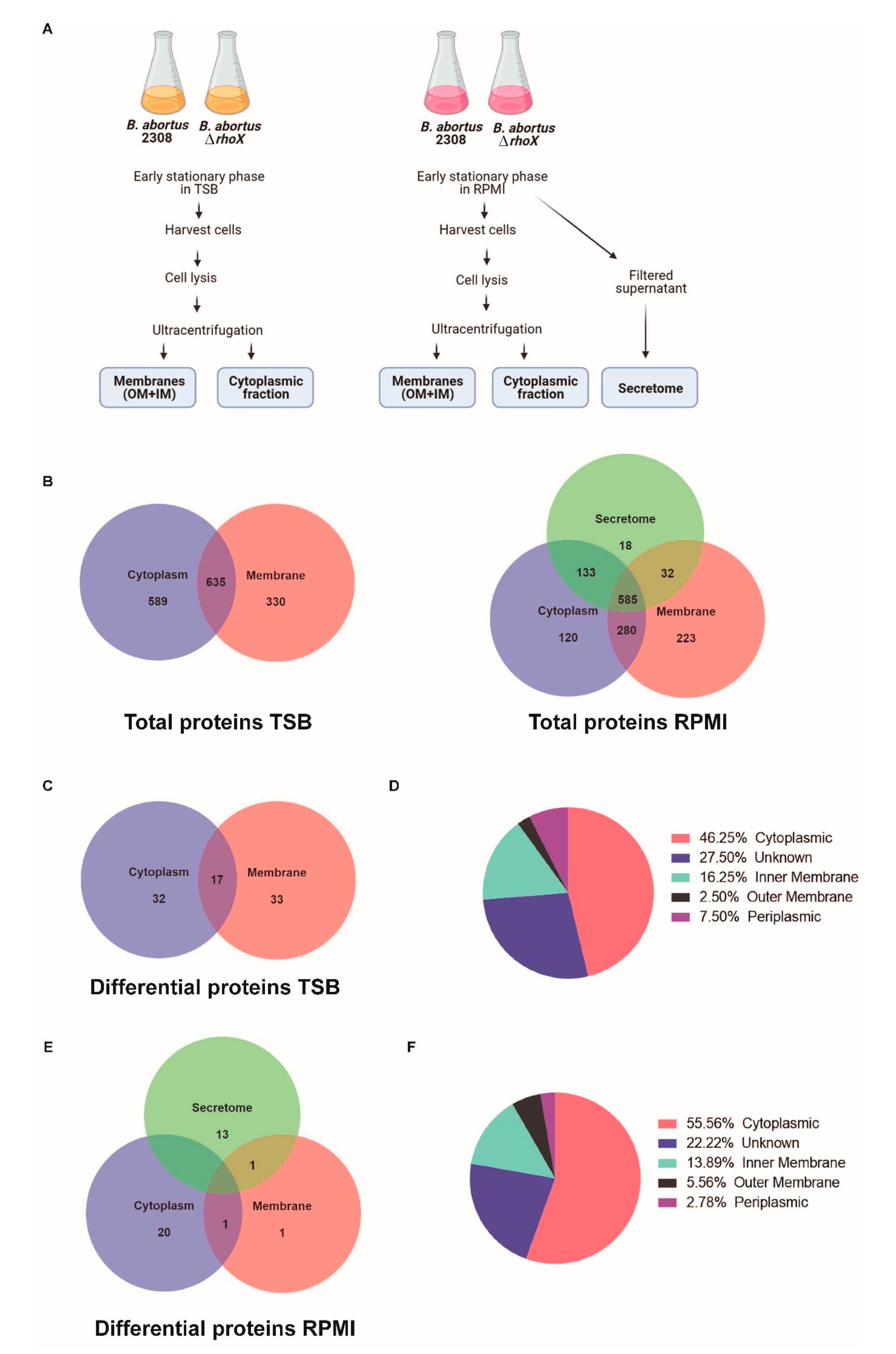 Microorganisms 10 00114 g005 Microorganisms 10 00114 g005
