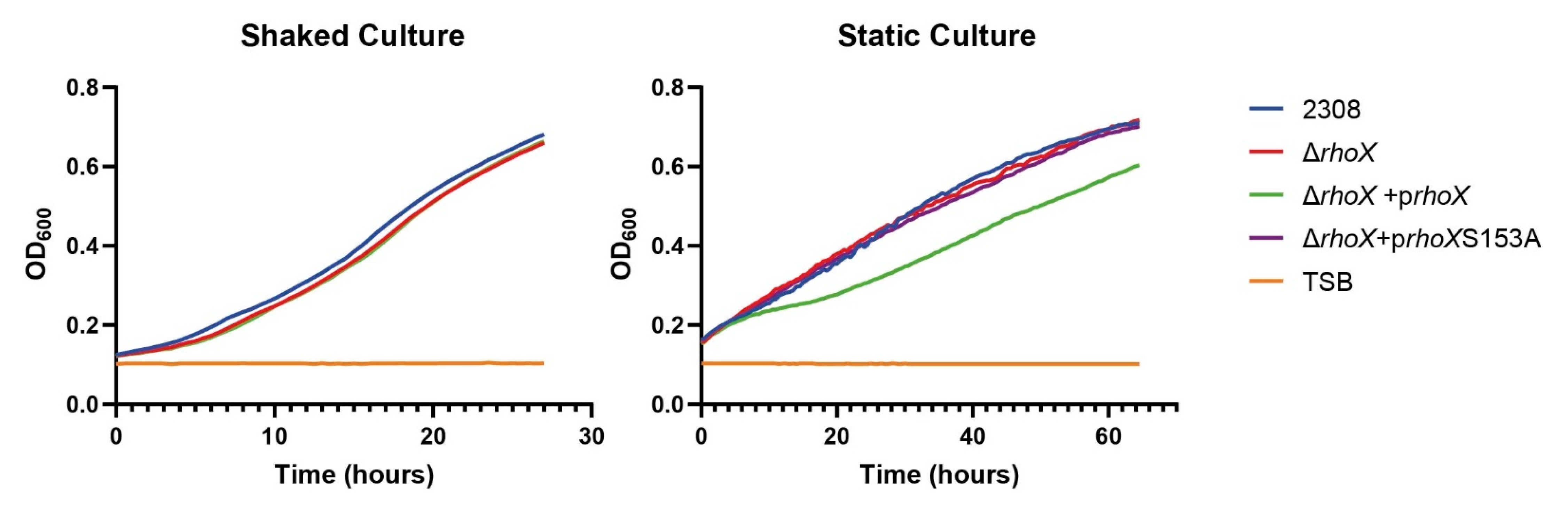Microorganisms 10 00114 g007 Microorganisms 10 00114 g007