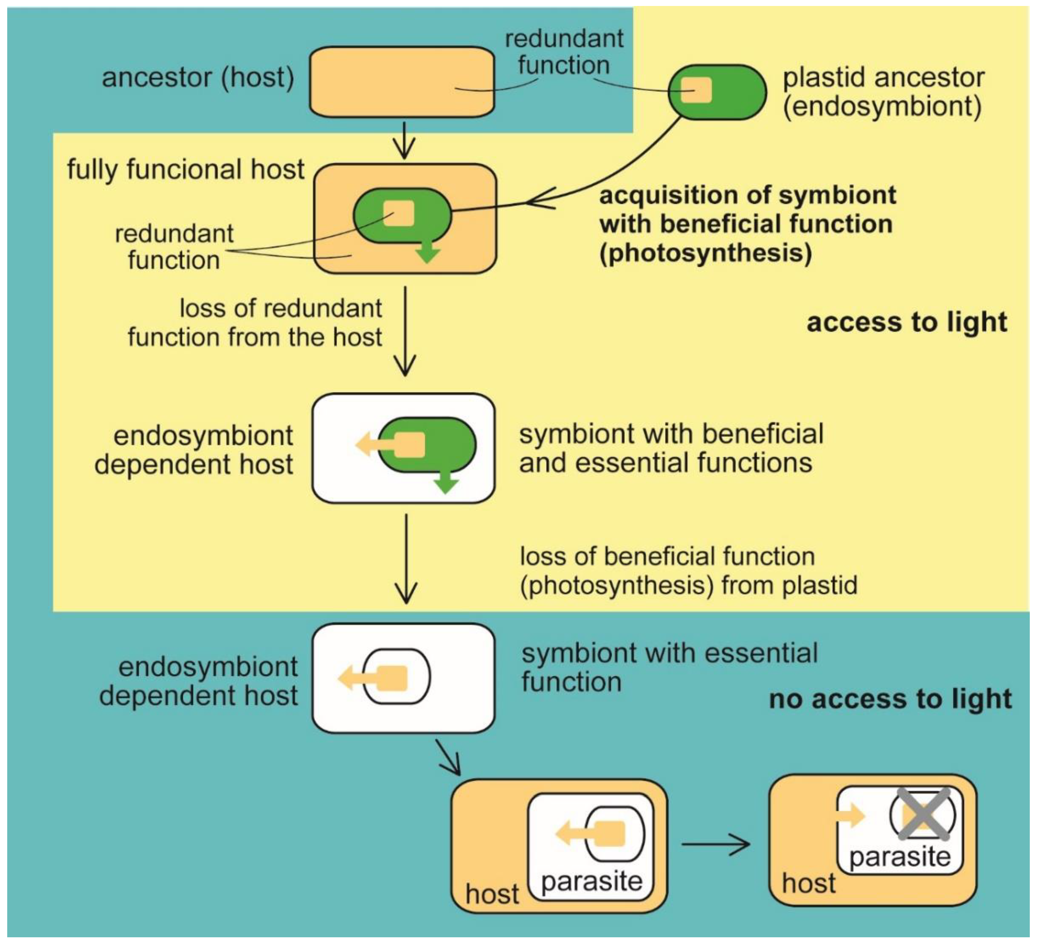 Microorganisms 10 00122 g001