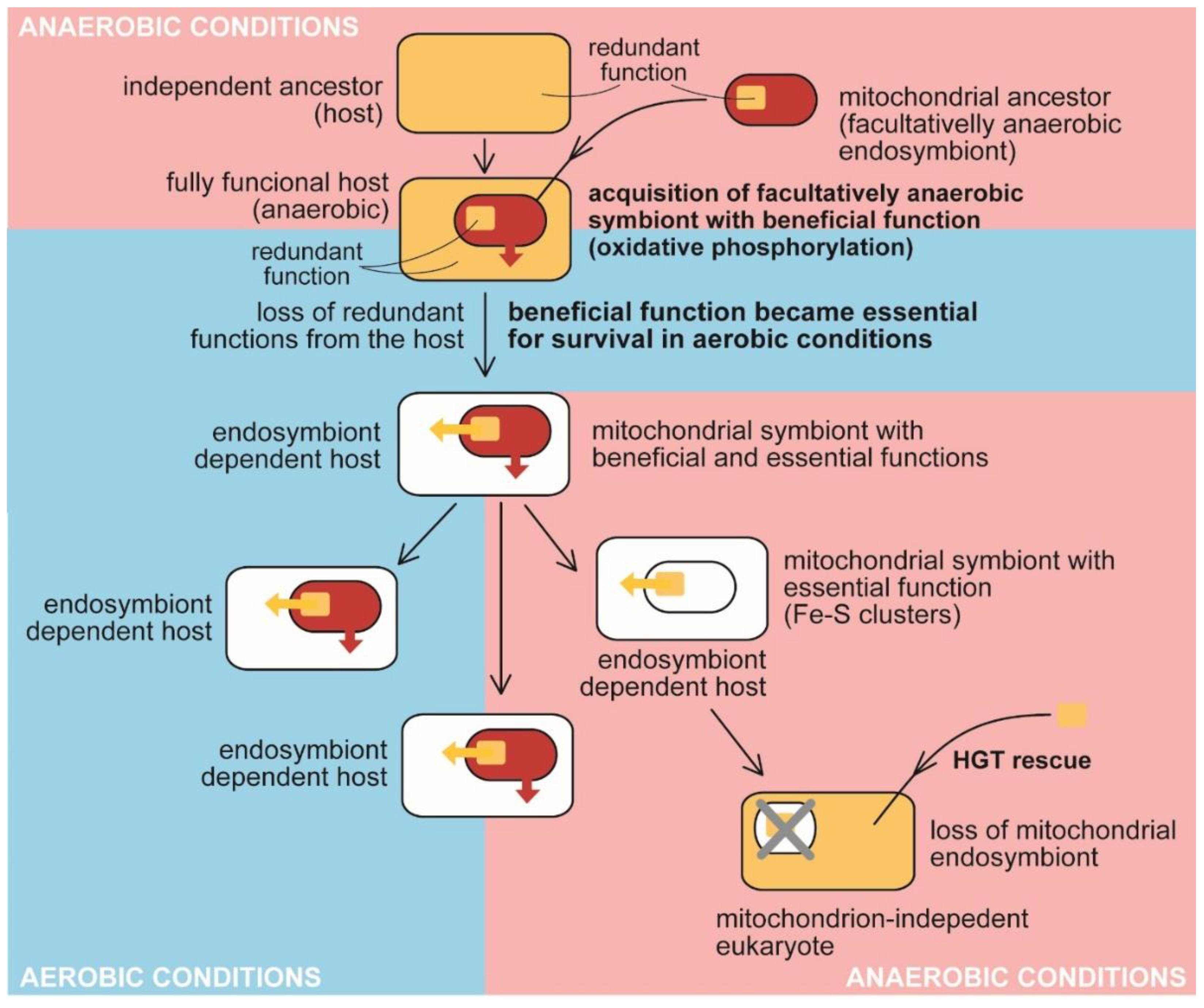 Microorganisms 10 00122 g002