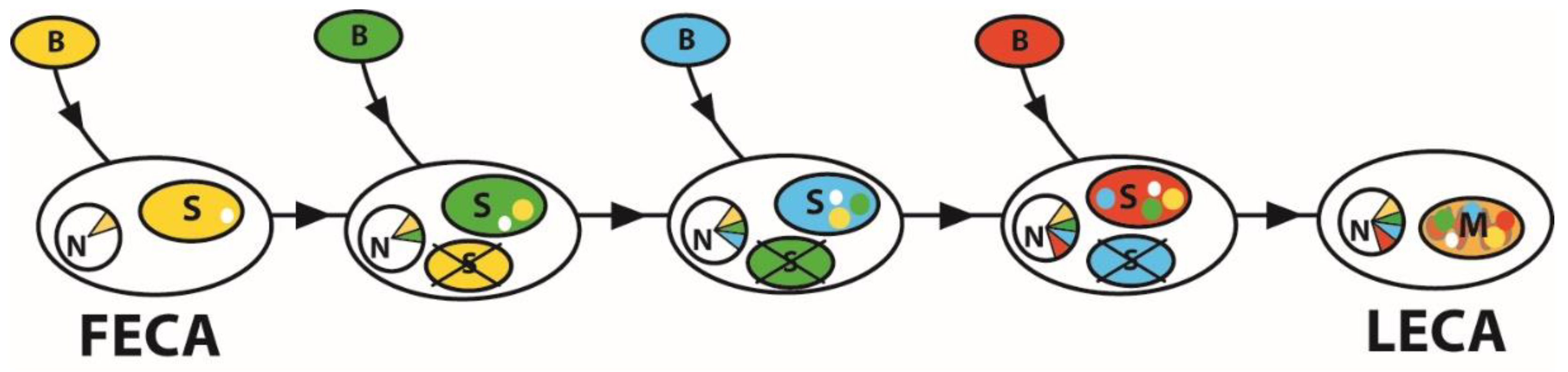 Microorganisms 10 00122 g003