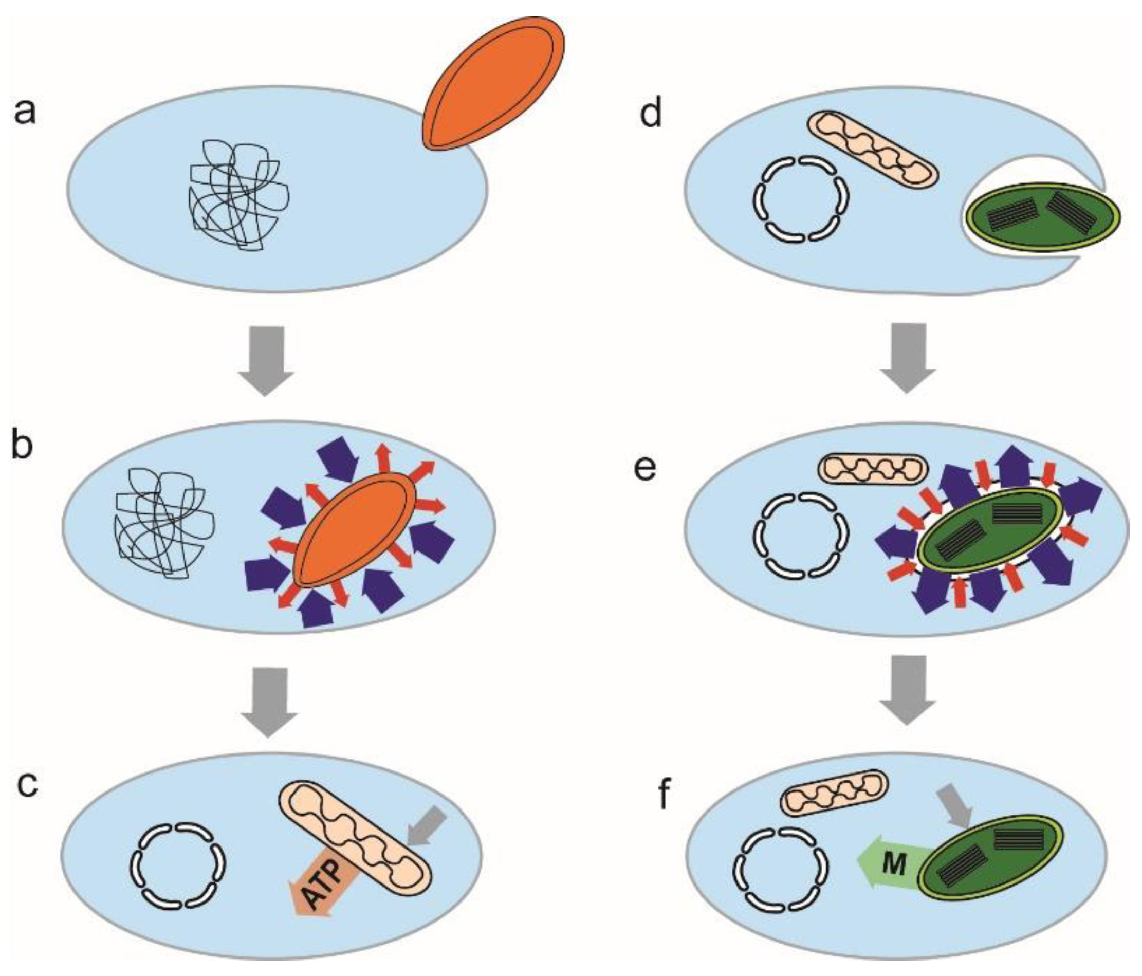 Microorganisms 10 00122 g004