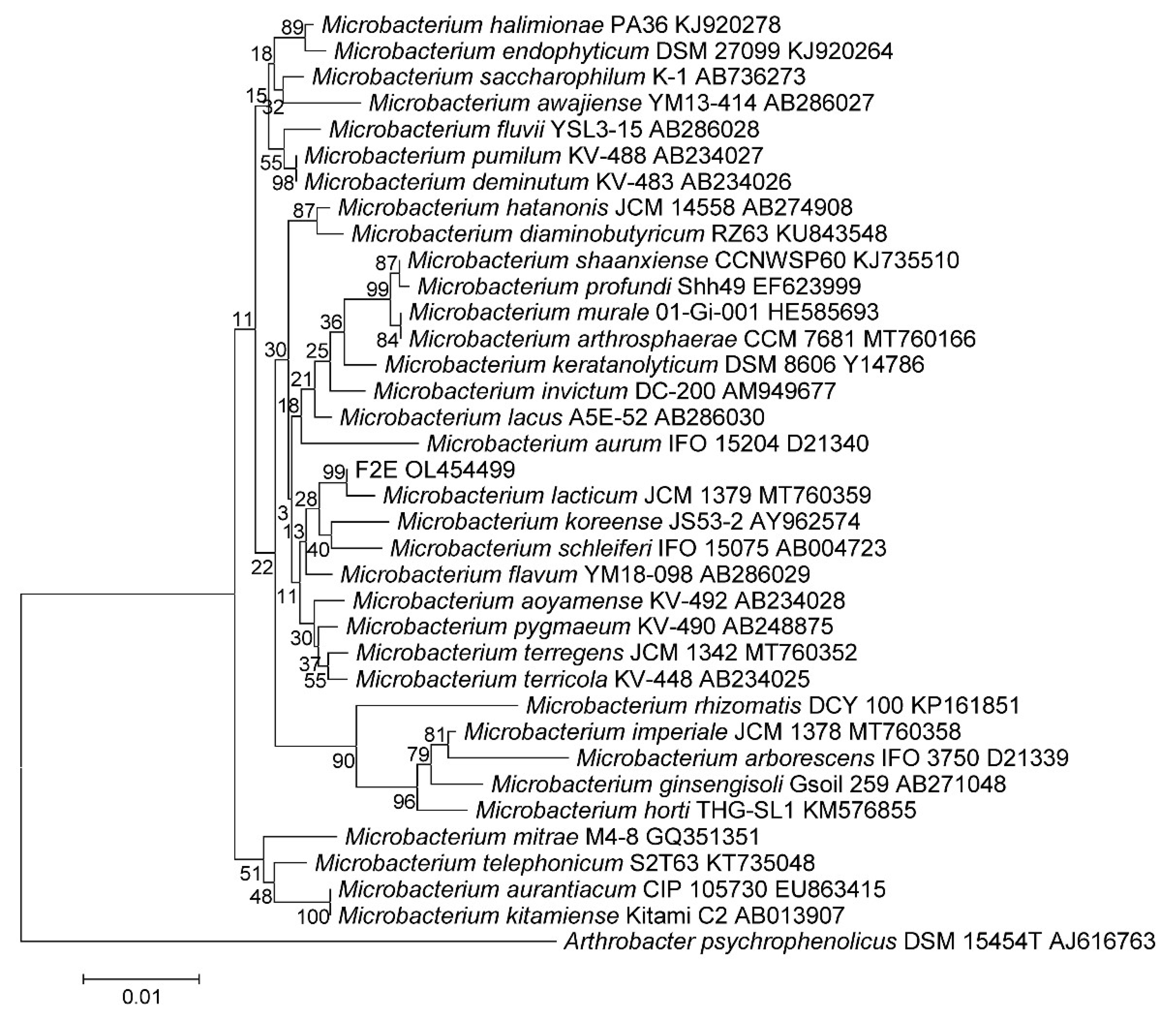 Microorganisms 10 00128 g002 Microorganisms 10 00128 g002
