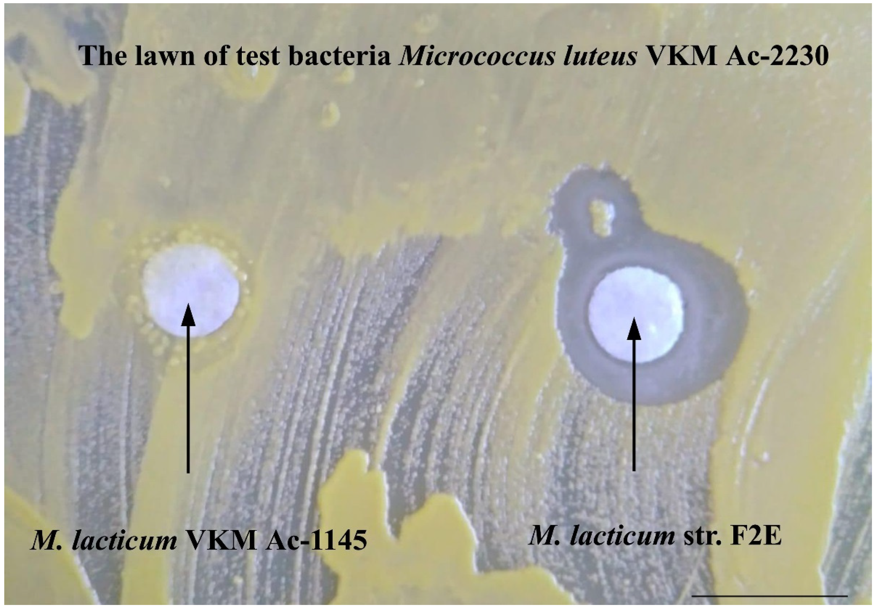 Microorganisms 10 00128 g006 Microorganisms 10 00128 g006
