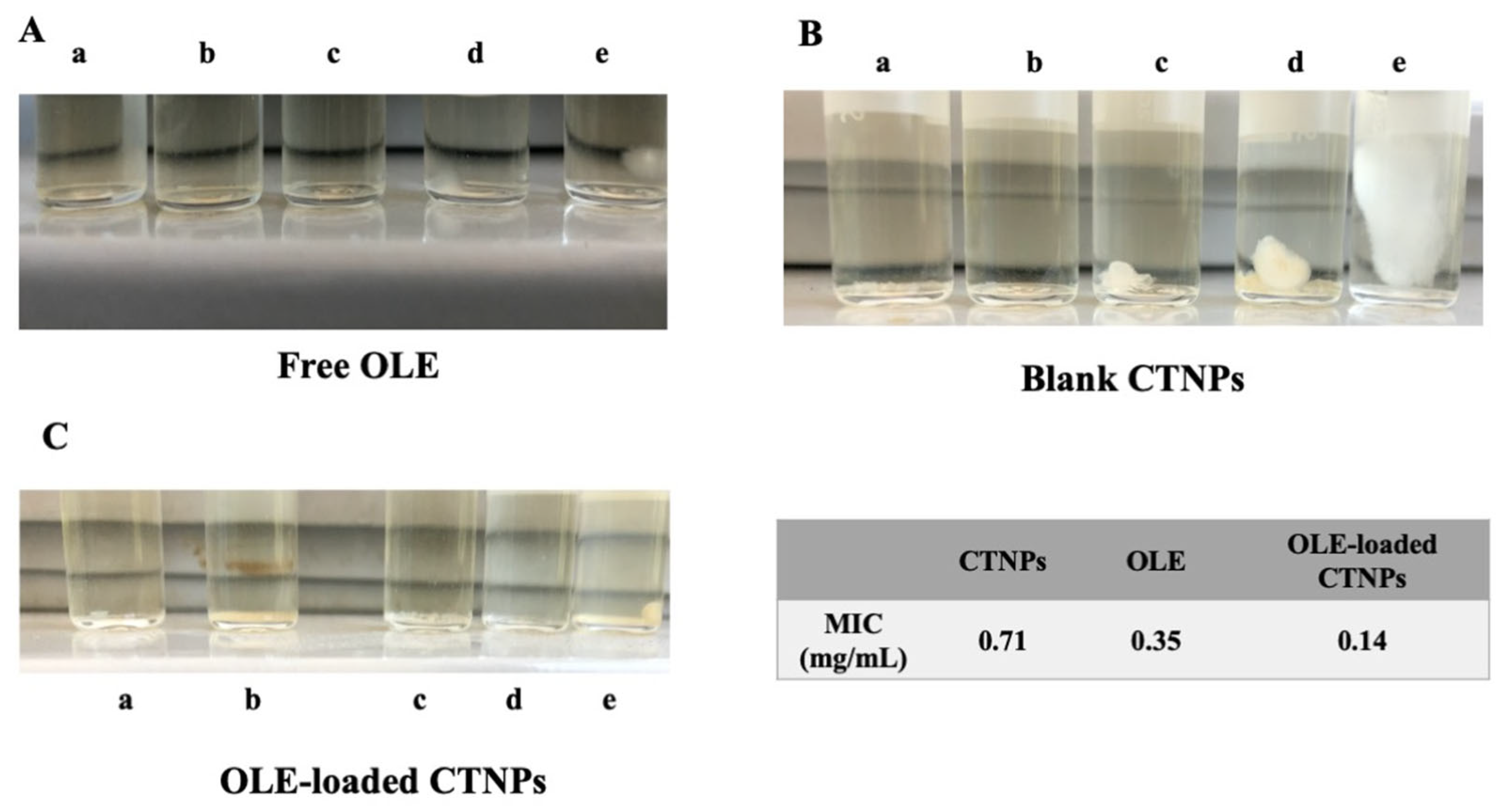 Microorganisms 10 00136 g005