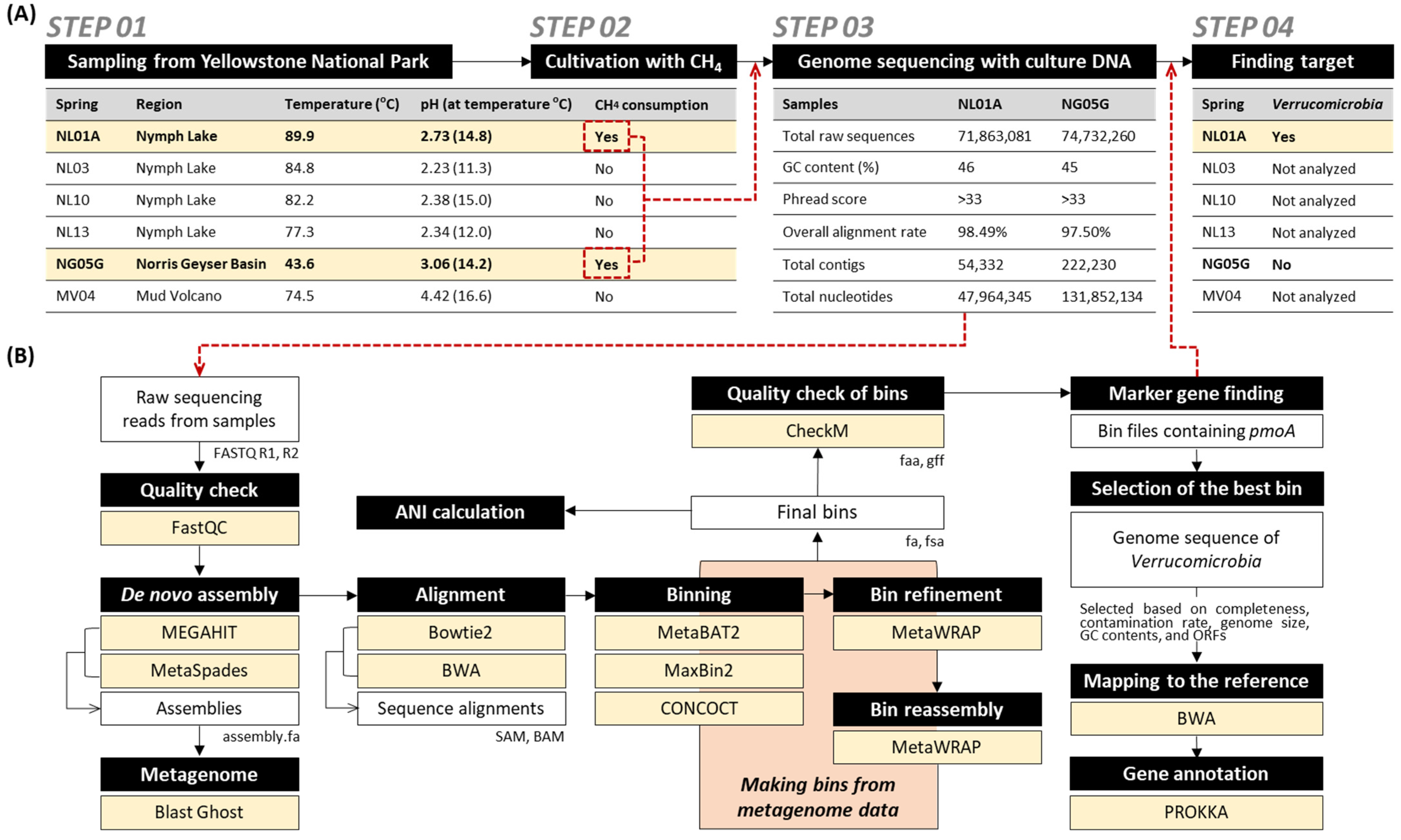 Microorganisms 10 00142 g001