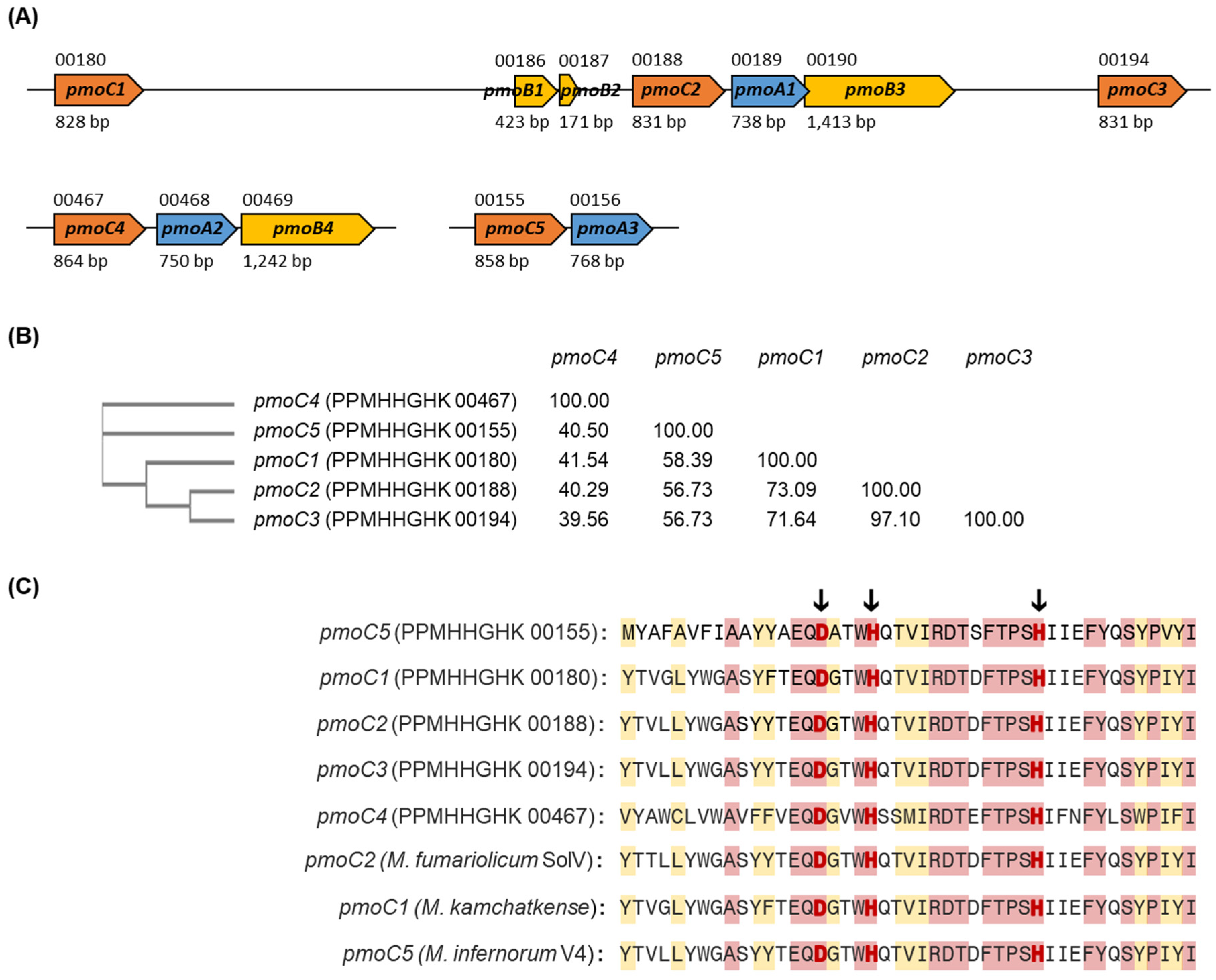 Microorganisms 10 00142 g005