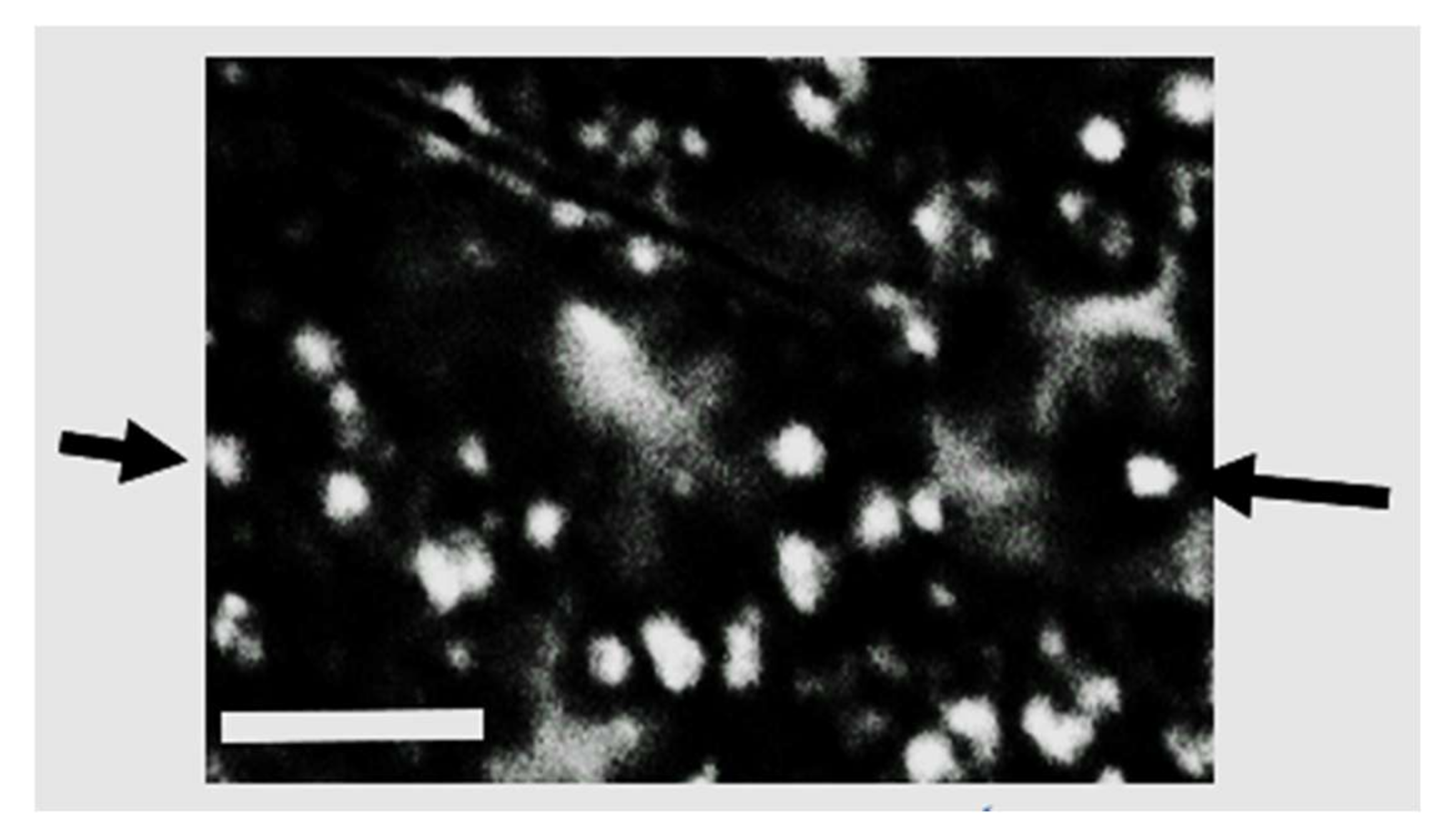 Microorganisms 10 00145 g005