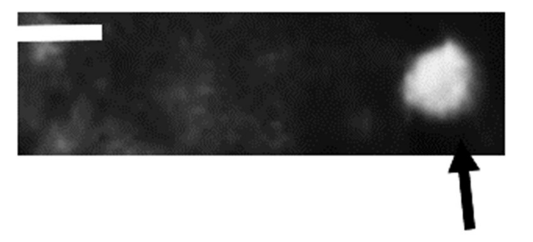 Microorganisms 10 00145 g006