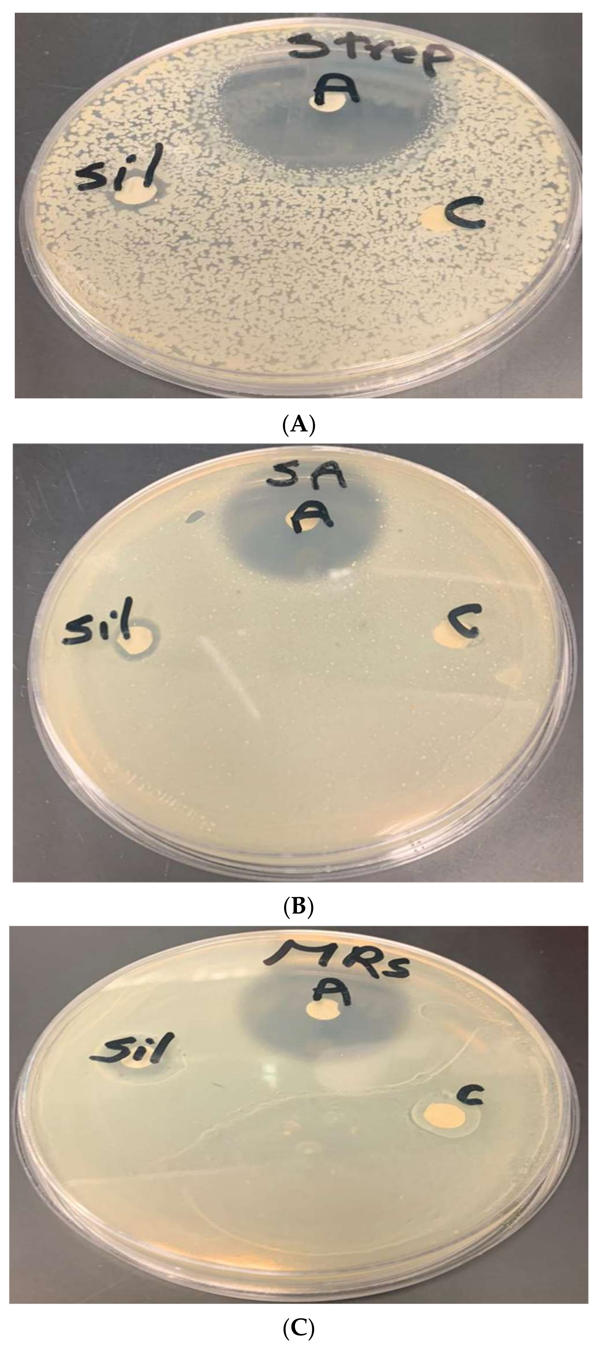Microorganisms 10 00145 g008