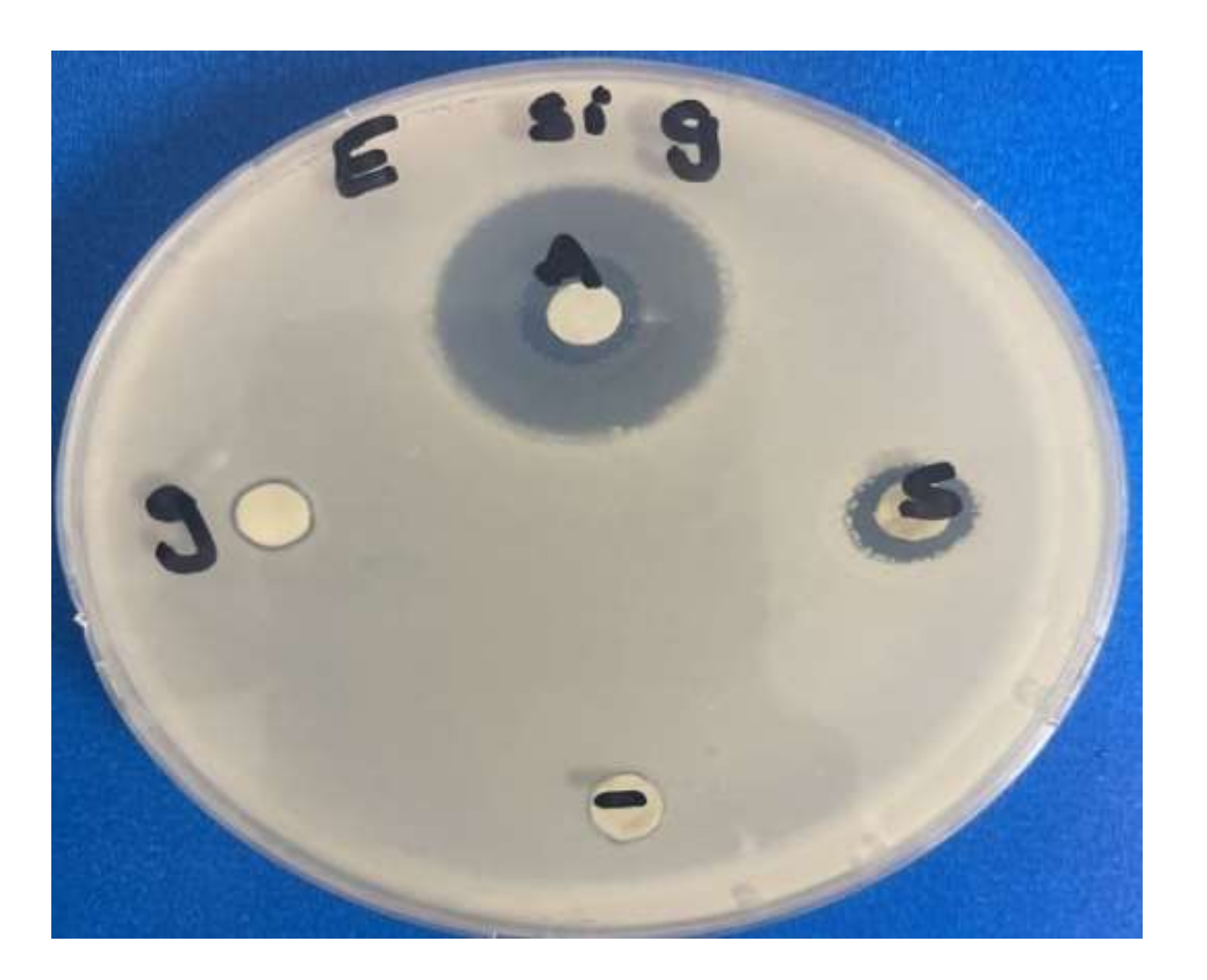 Microorganisms 10 00145 g010