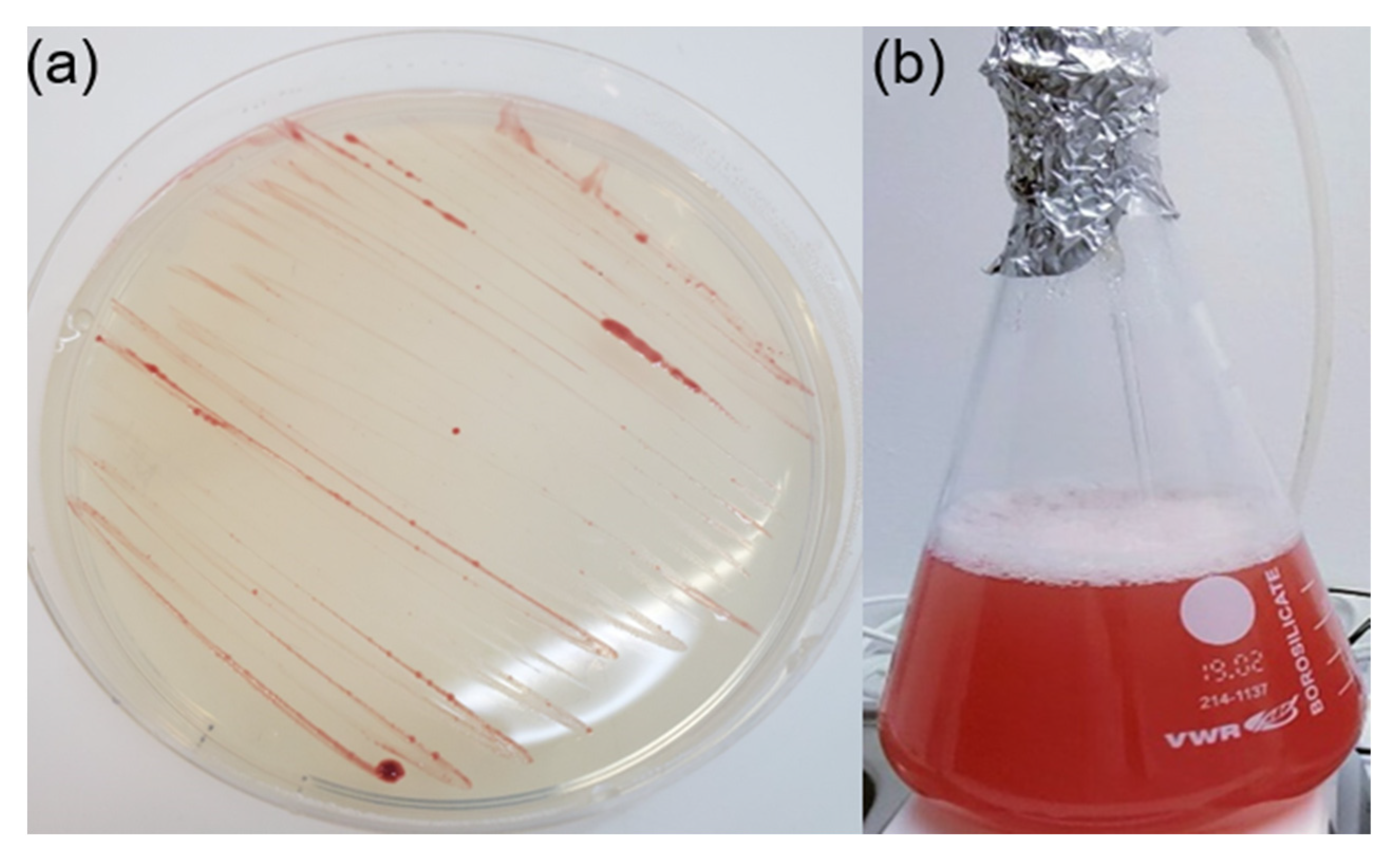 Microorganisms 10 00151 g002
