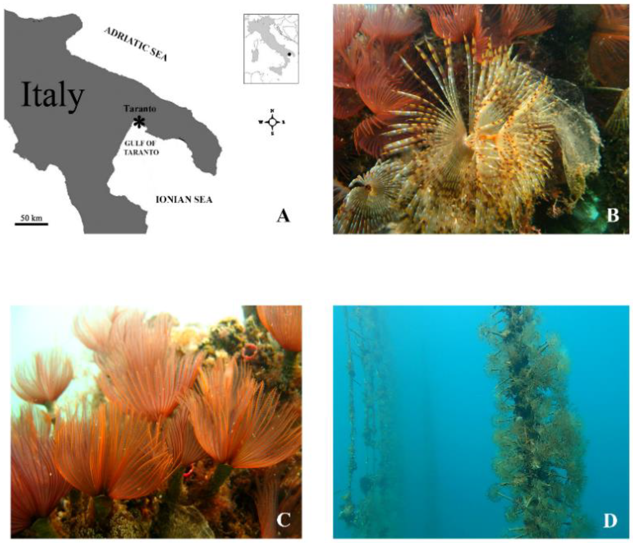 Microorganisms 10 00156 g001 Microorganisms 10 00156 g001