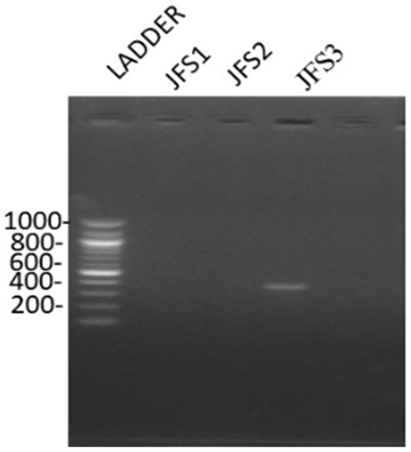 Microorganisms 10 00165 g002