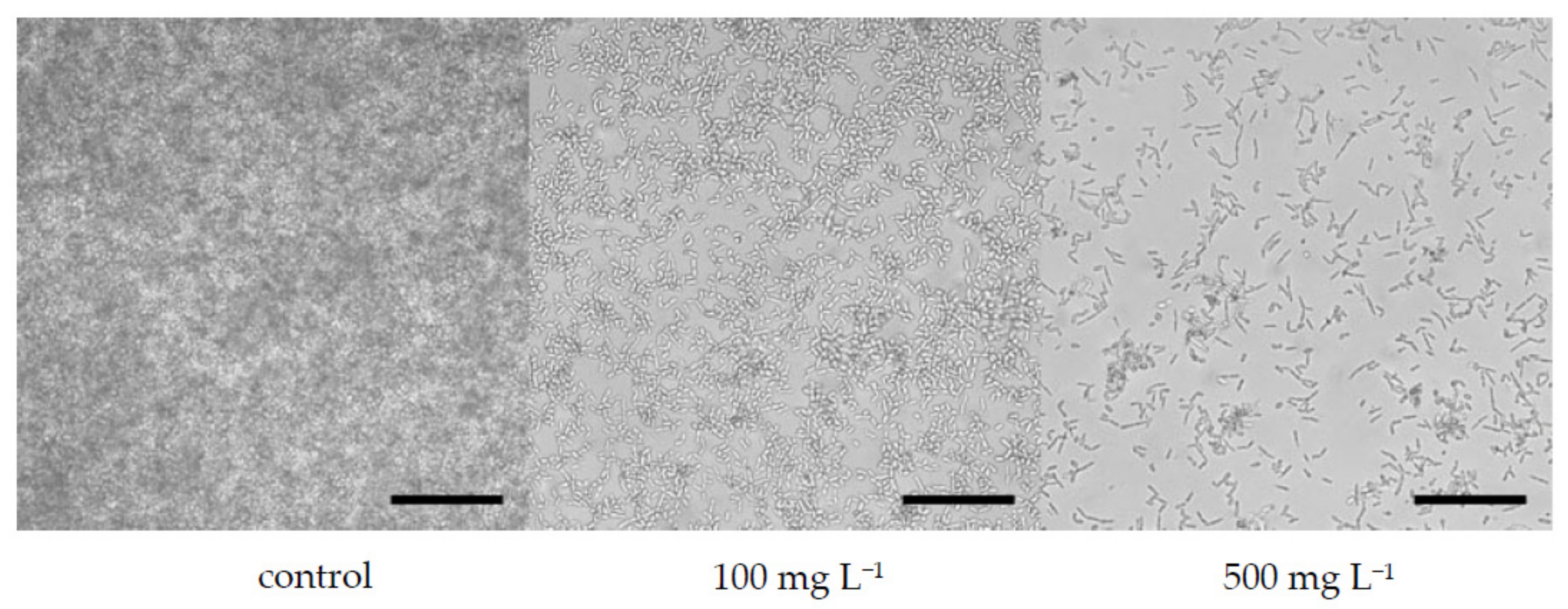 Microorganisms 10 00171 g003