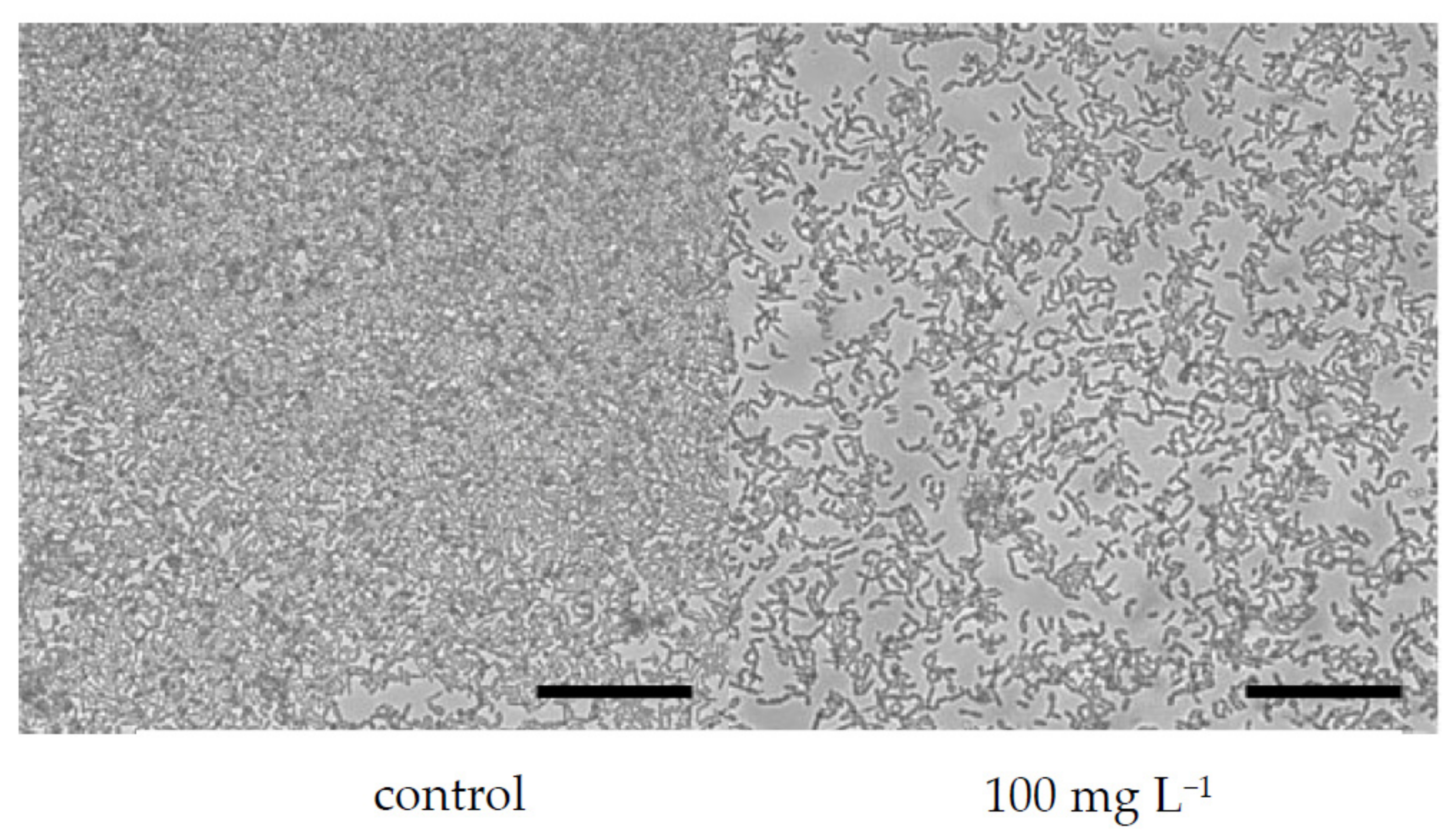Microorganisms 10 00171 g004