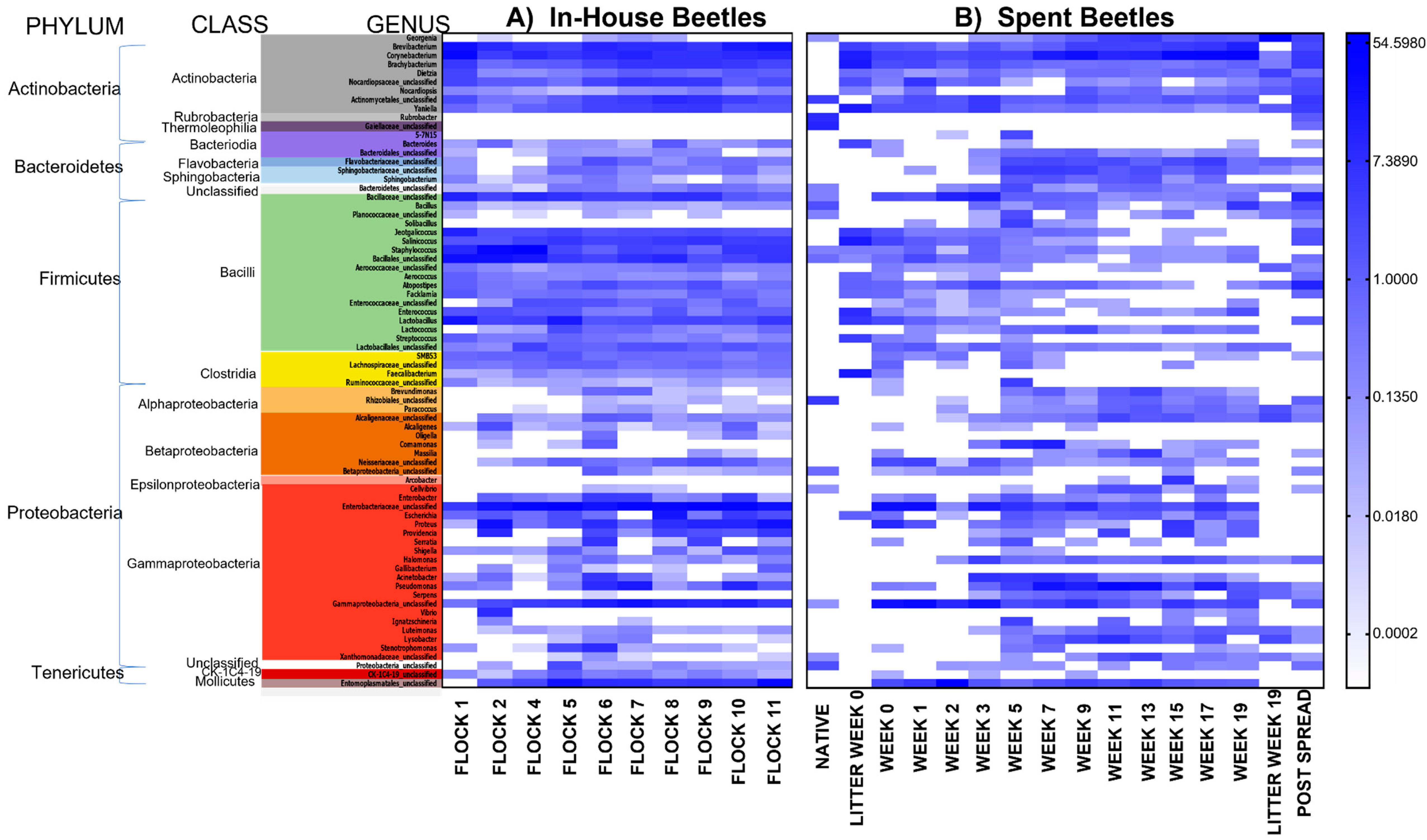 Microorganisms 10 00175 g004