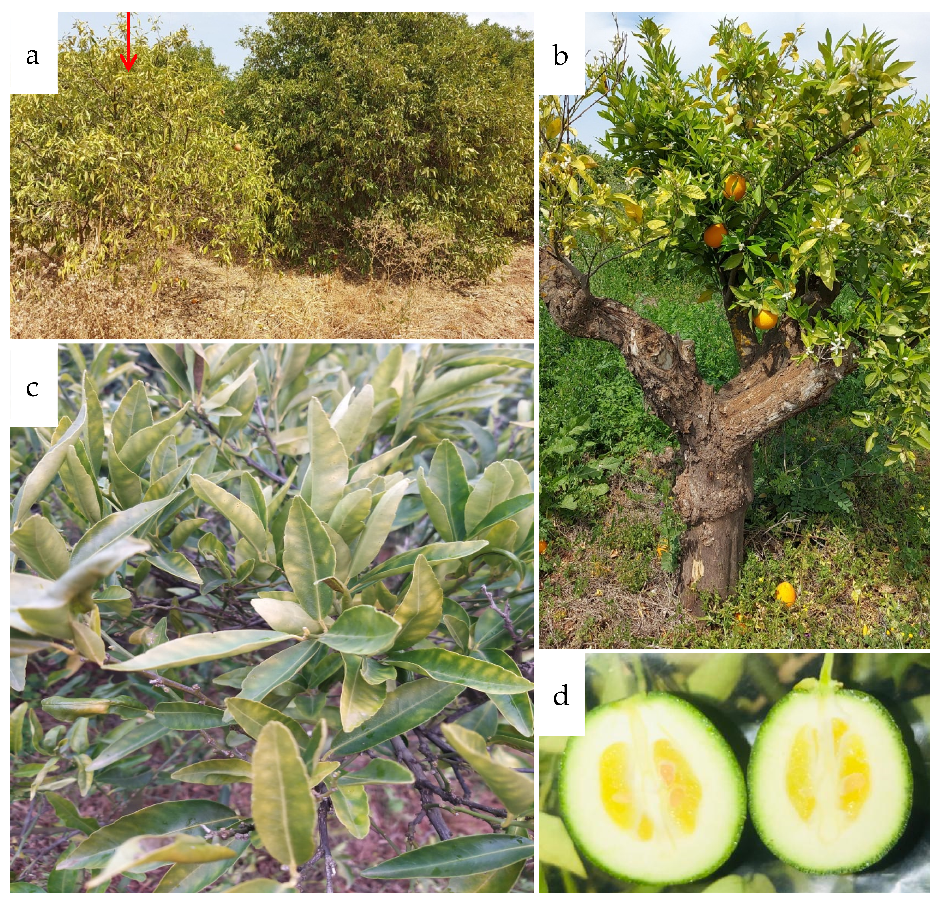 Microorganisms 10 00183 g001 Microorganisms 10 00183 g001