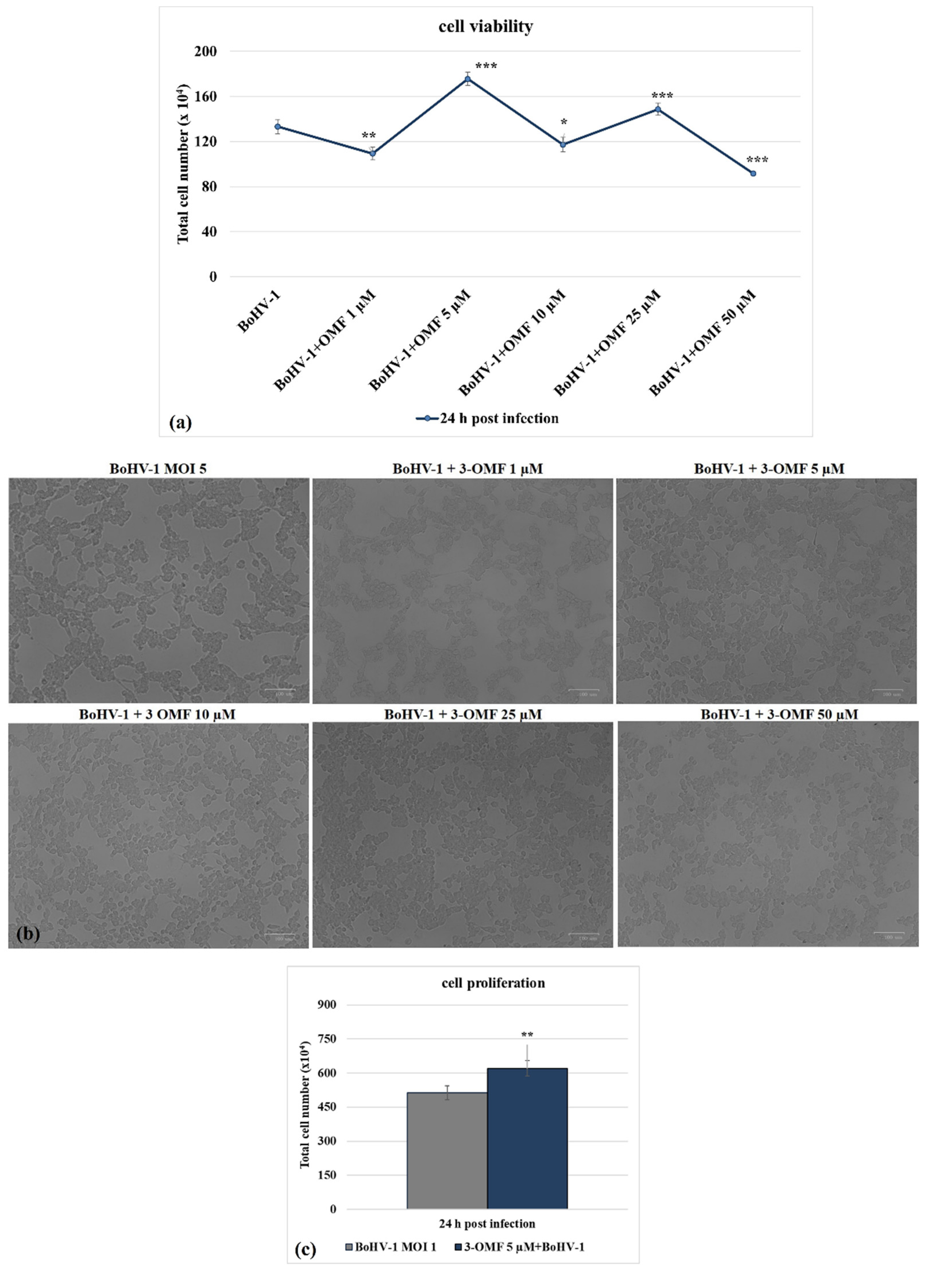 Microorganisms 10 00188 g003 Microorganisms 10 00188 g003