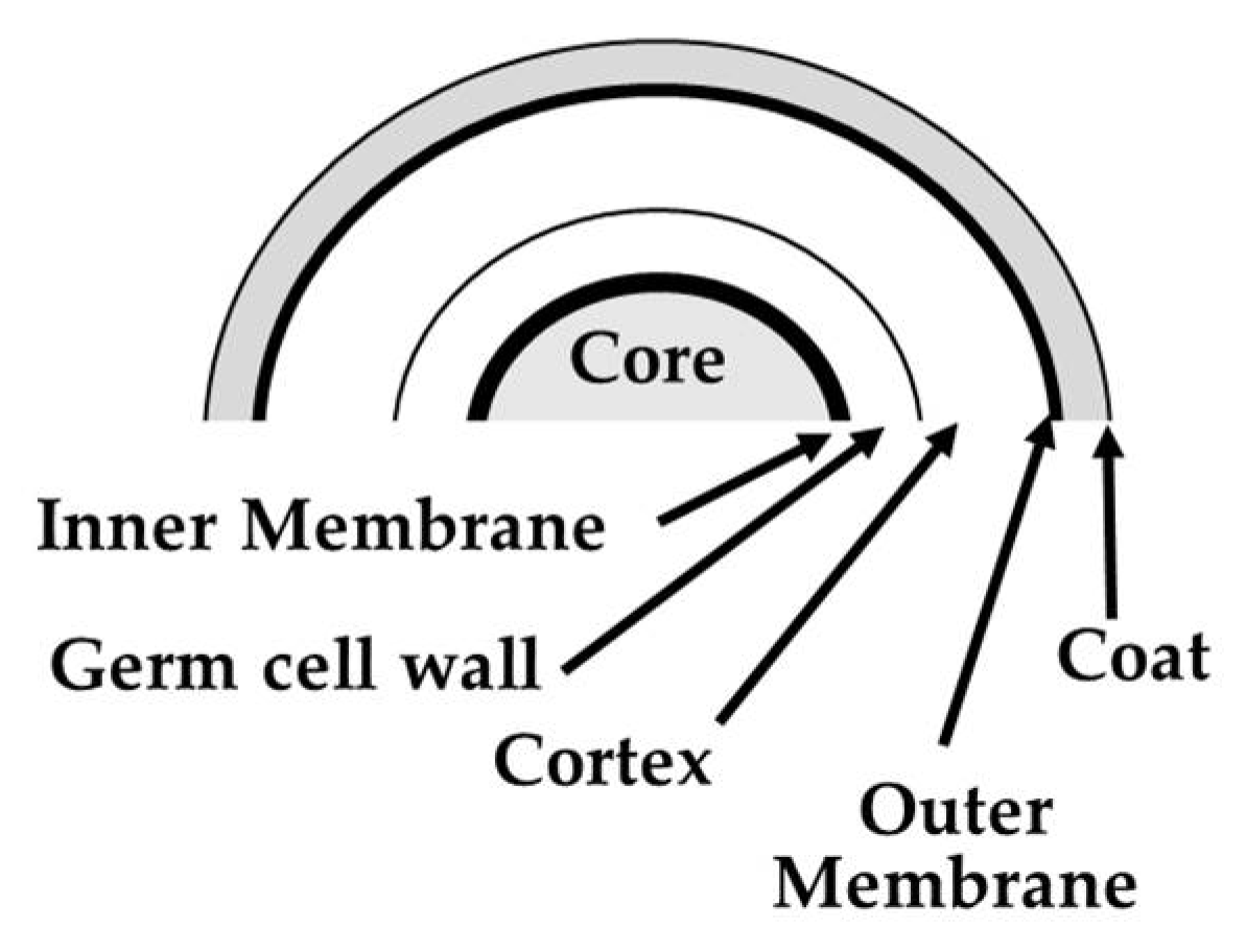 Microorganisms 10 00190 g003