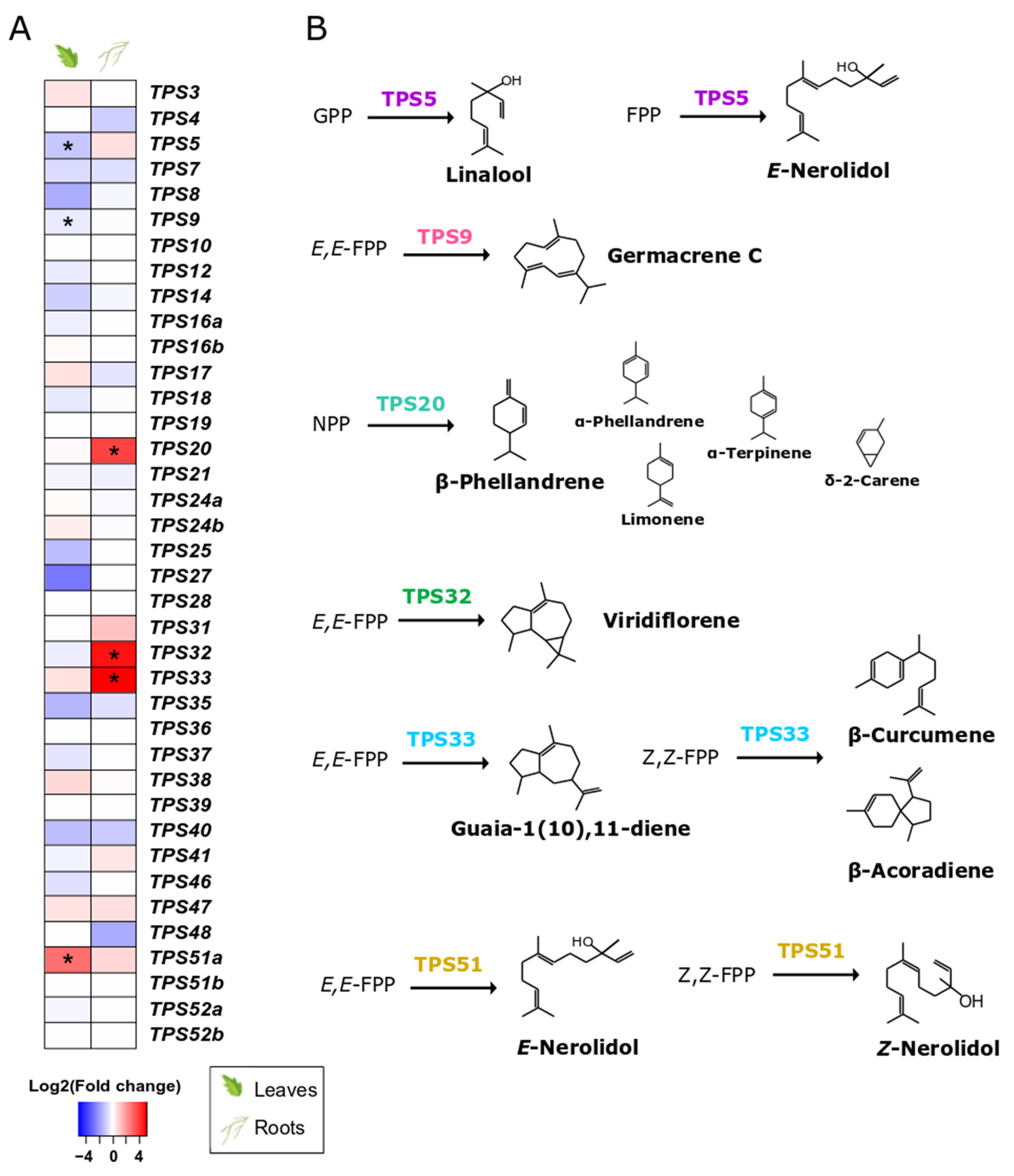 Microorganisms 10 00194 g005
