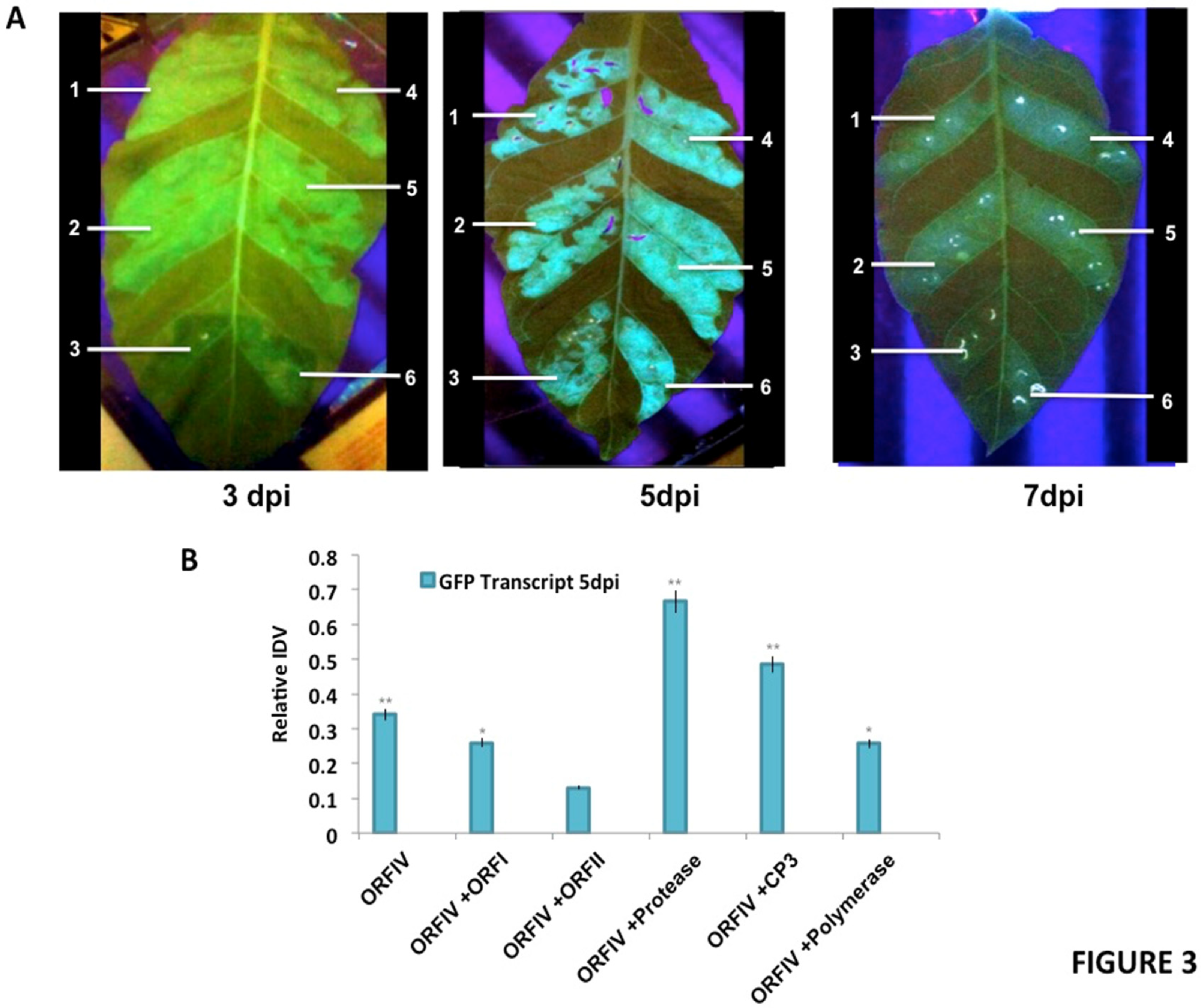 Microorganisms 10 00197 g003