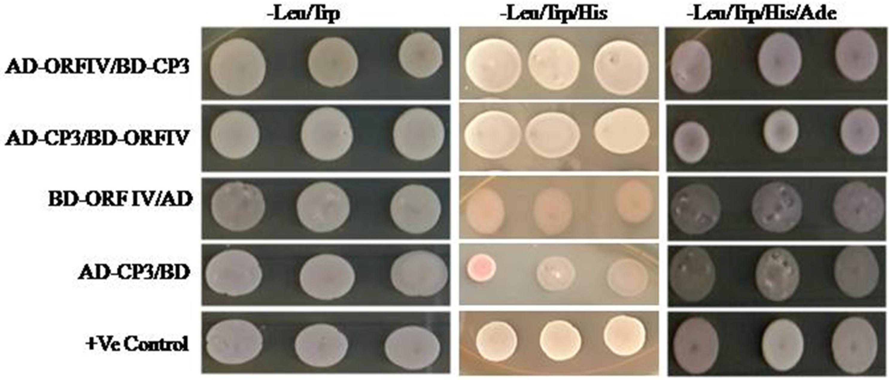 Microorganisms 10 00197 g004