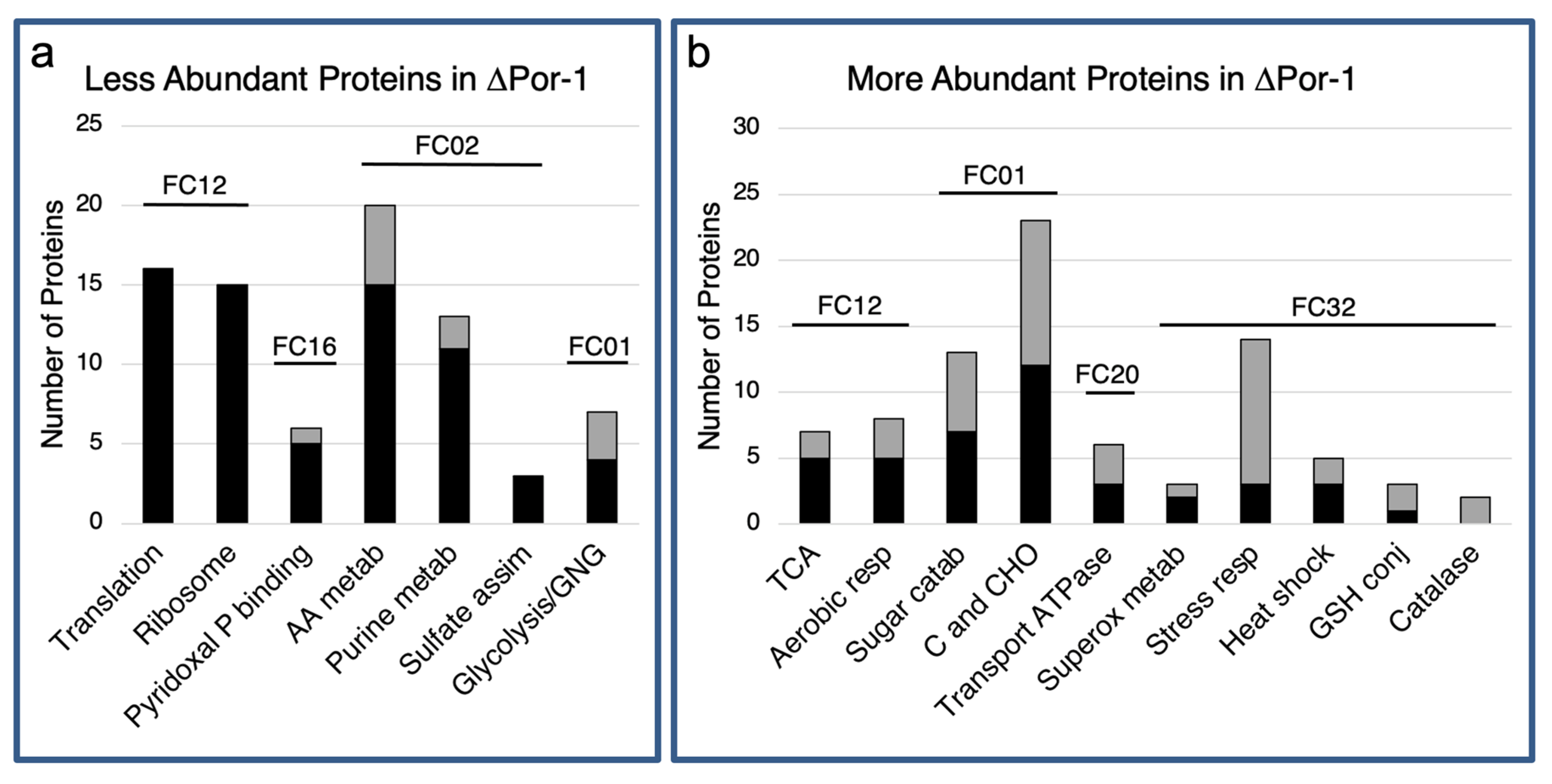 Microorganisms 10 00198 g001 Microorganisms 10 00198 g001