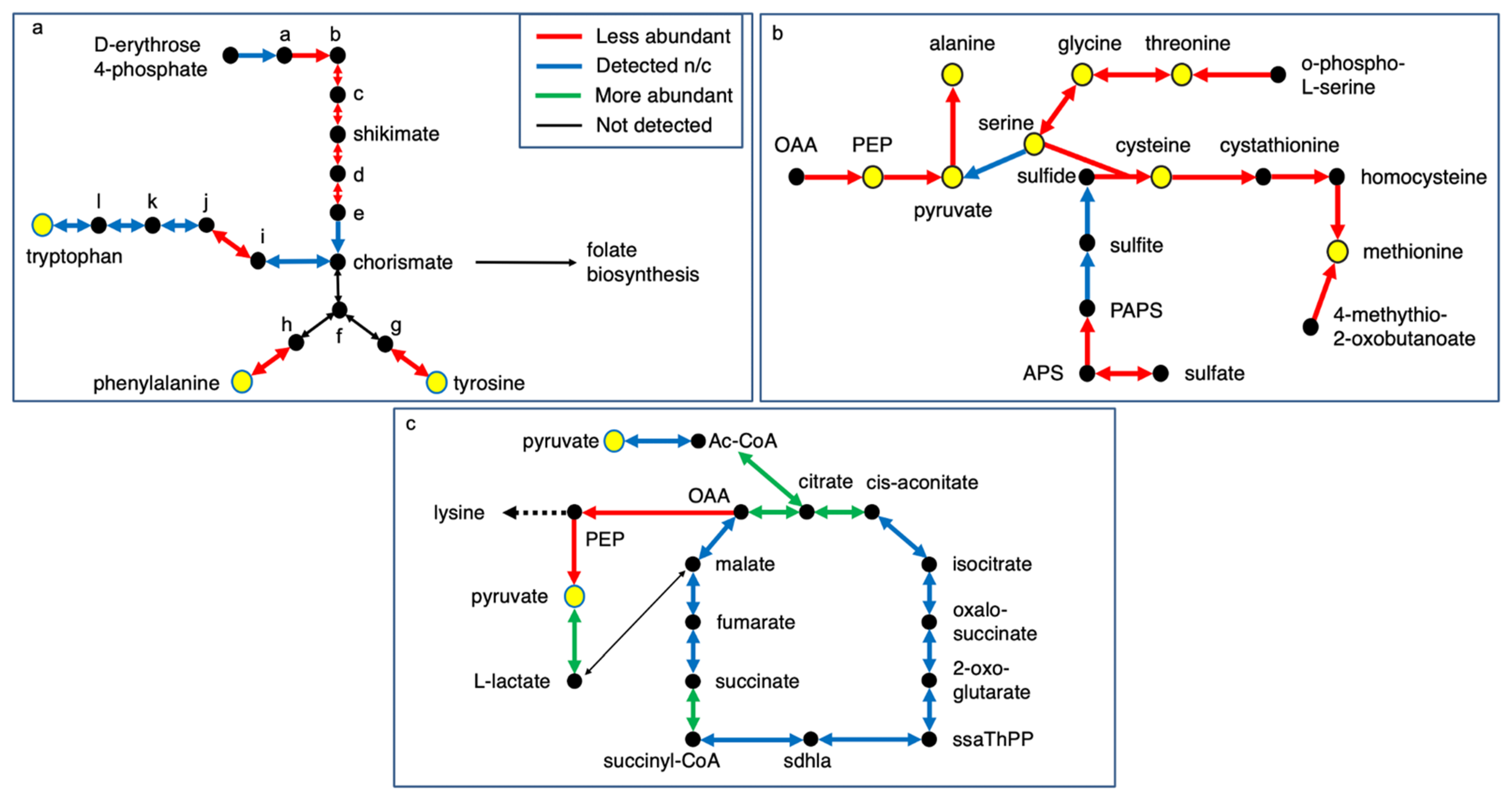 Microorganisms 10 00198 g002 Microorganisms 10 00198 g002