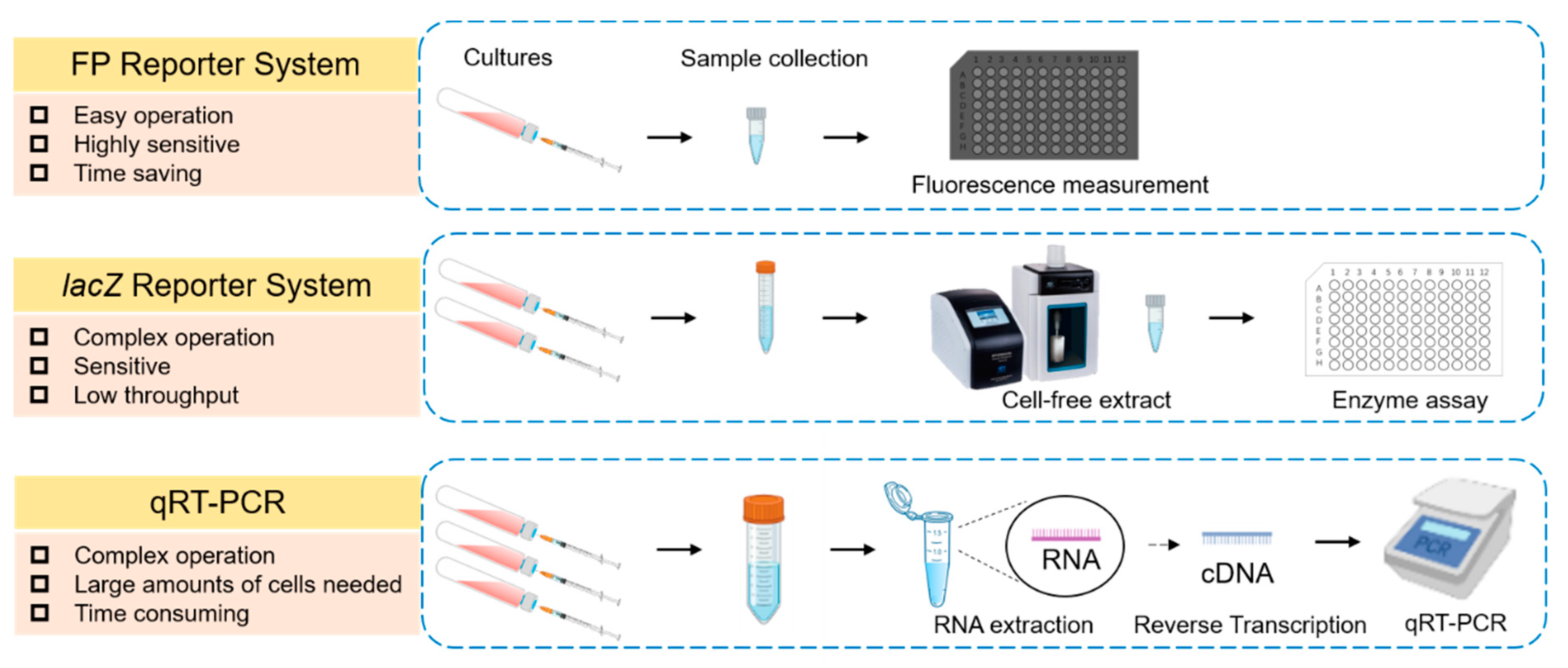 Microorganisms 10 00201 g001