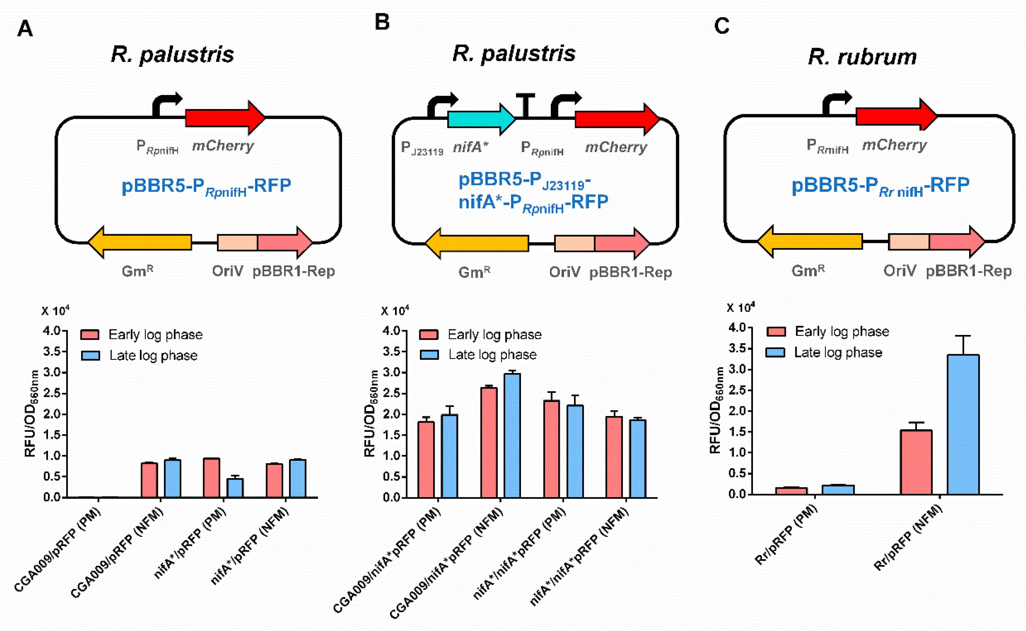 Microorganisms 10 00201 g006