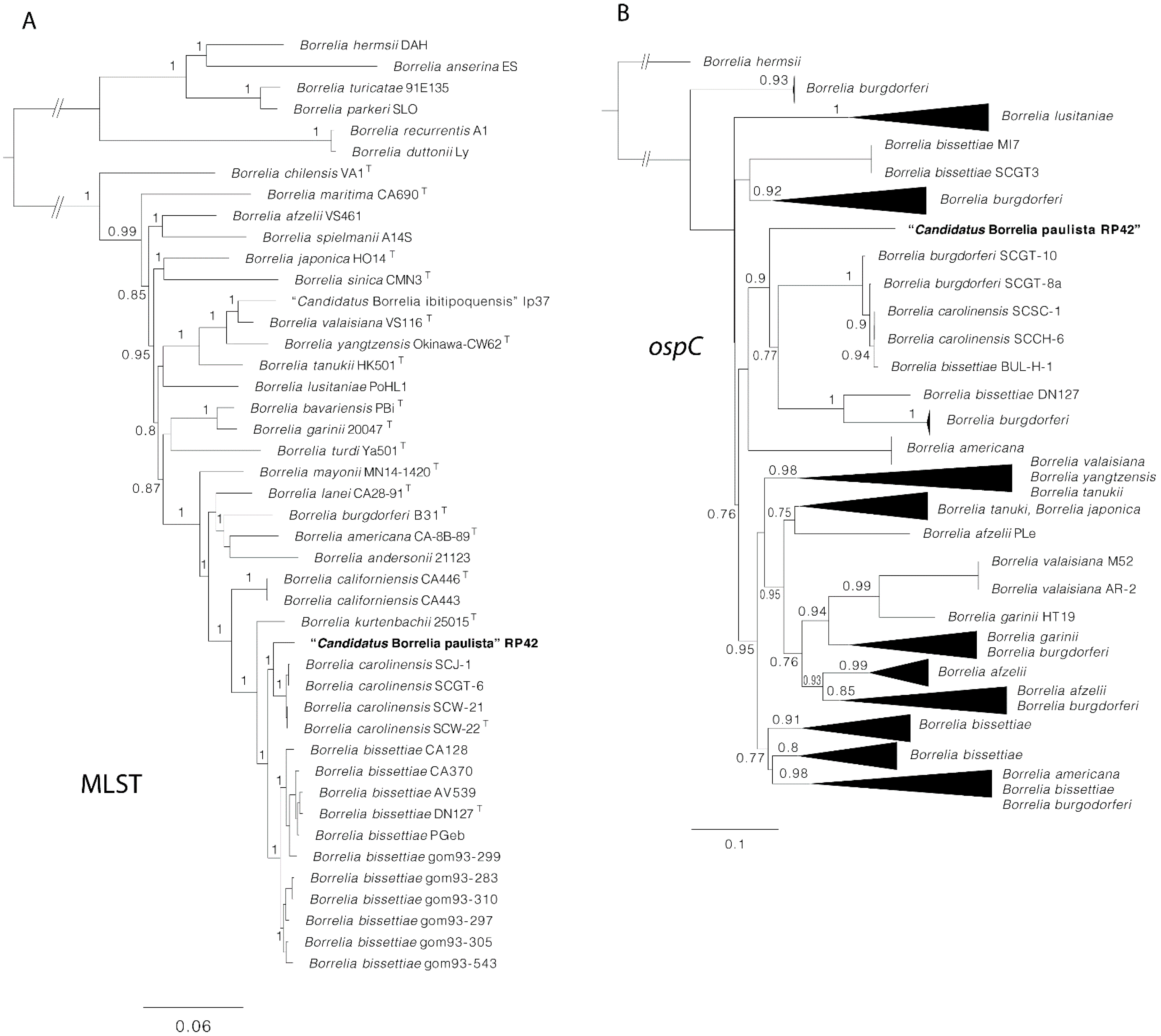 Microorganisms 10 00204 g003