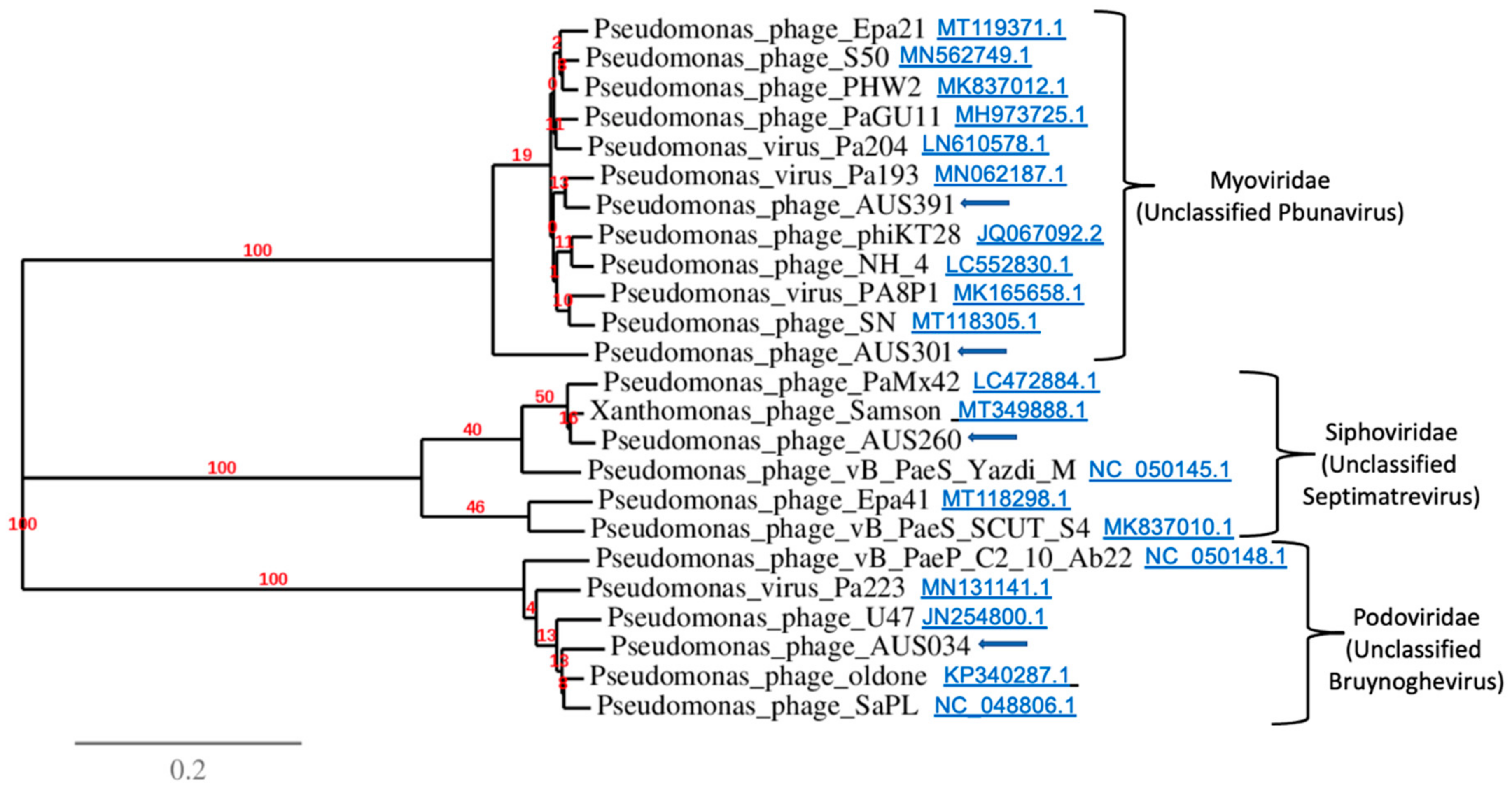 Microorganisms 10 00210 g008