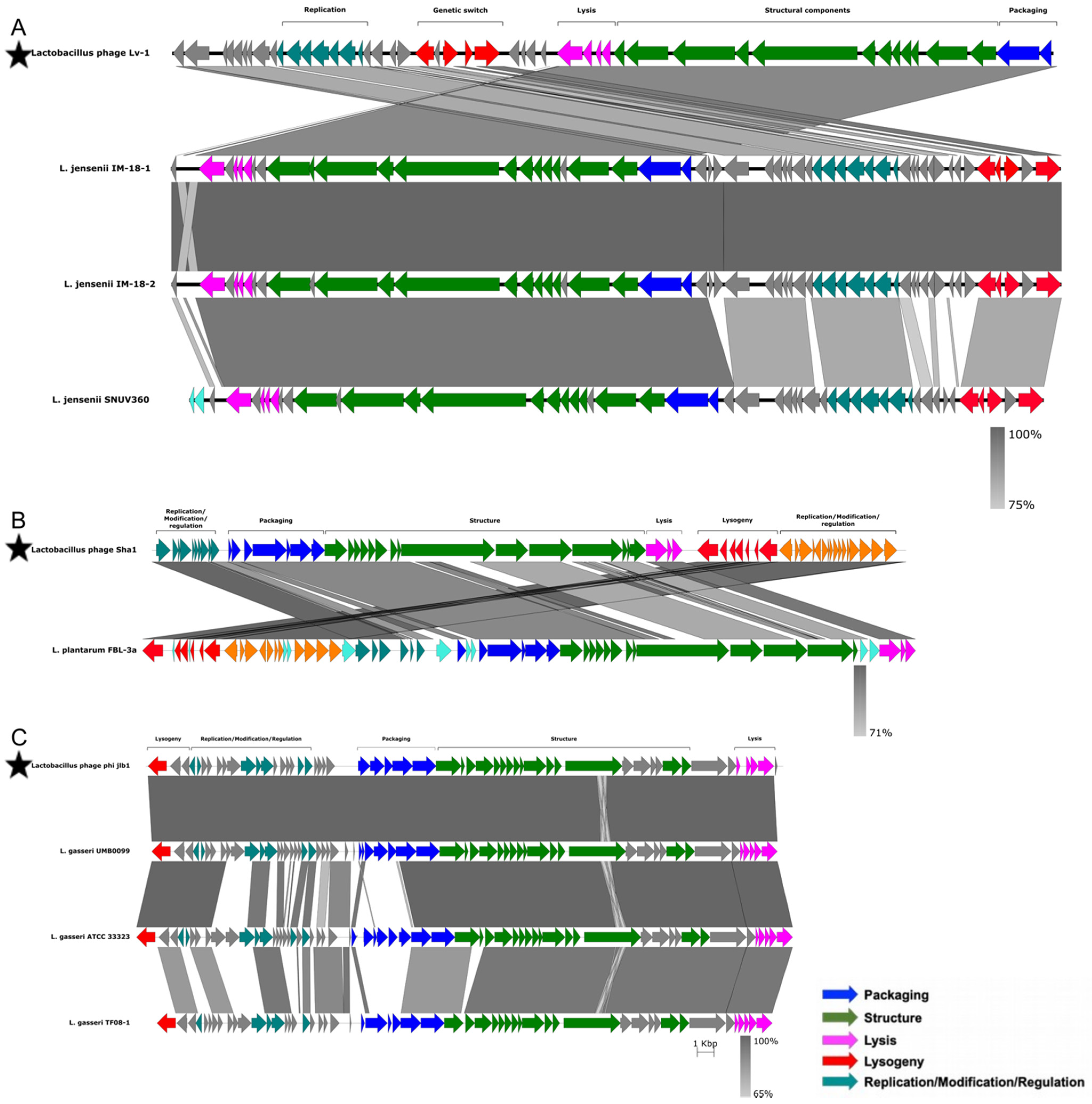 Microorganisms 10 00214 g006