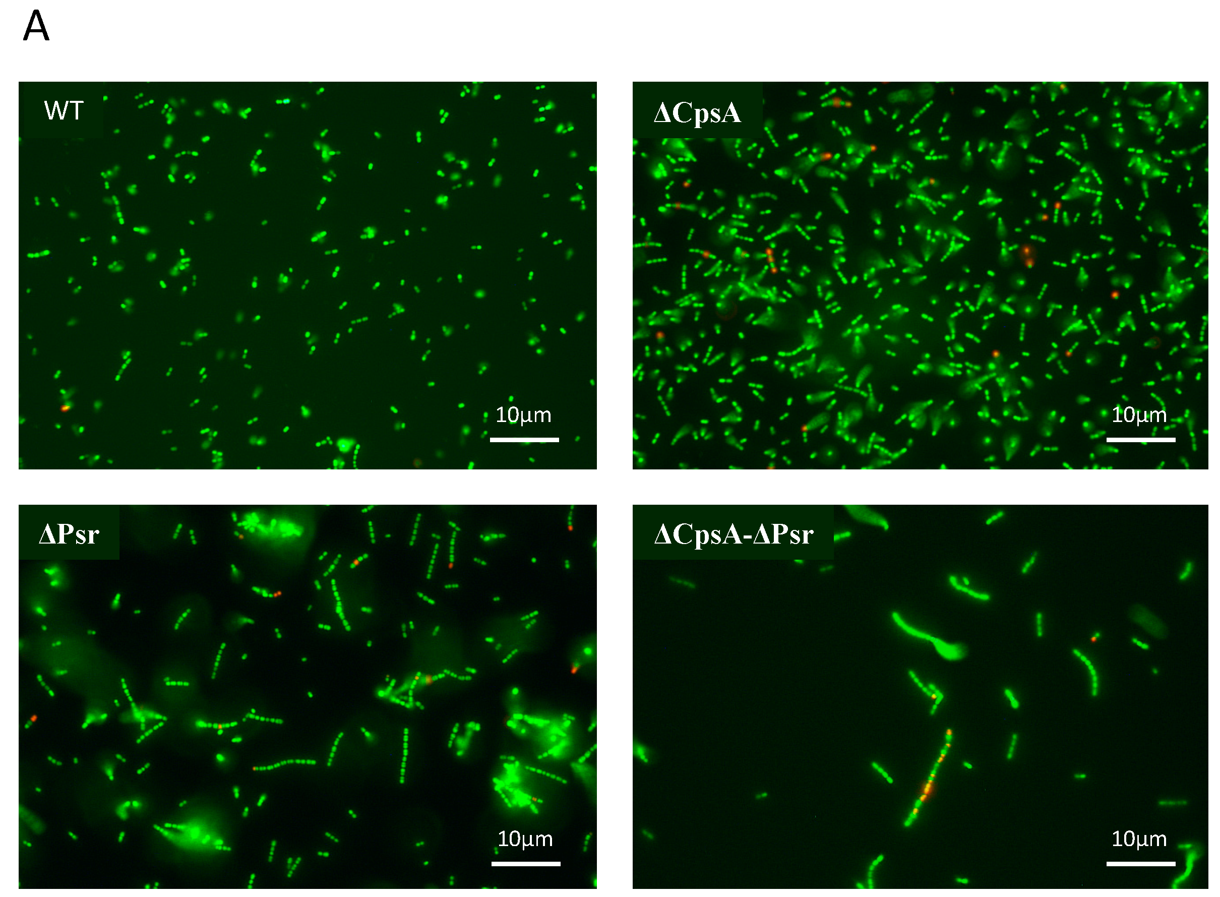 Microorganisms 10 00217 g002a