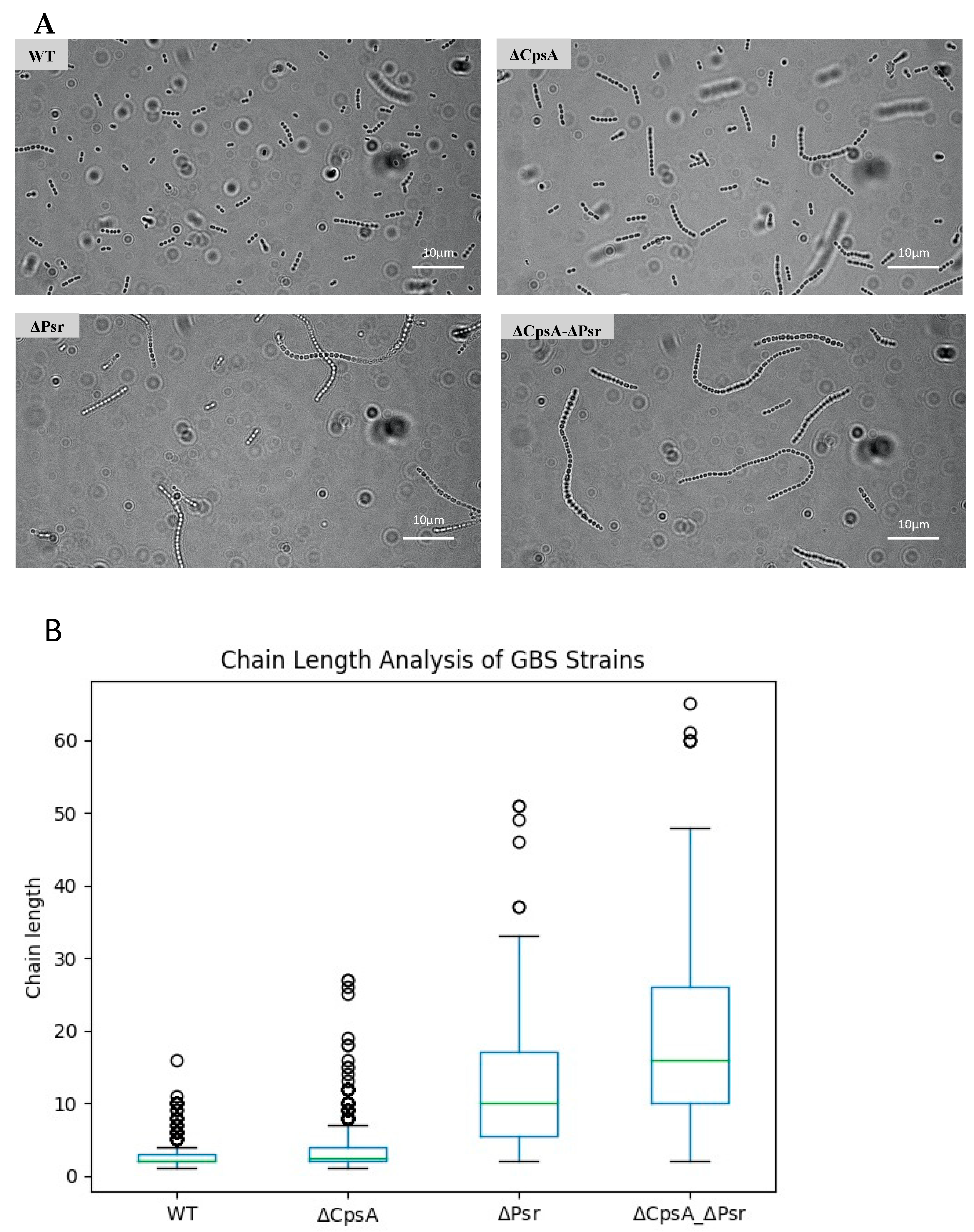 Microorganisms 10 00217 g003