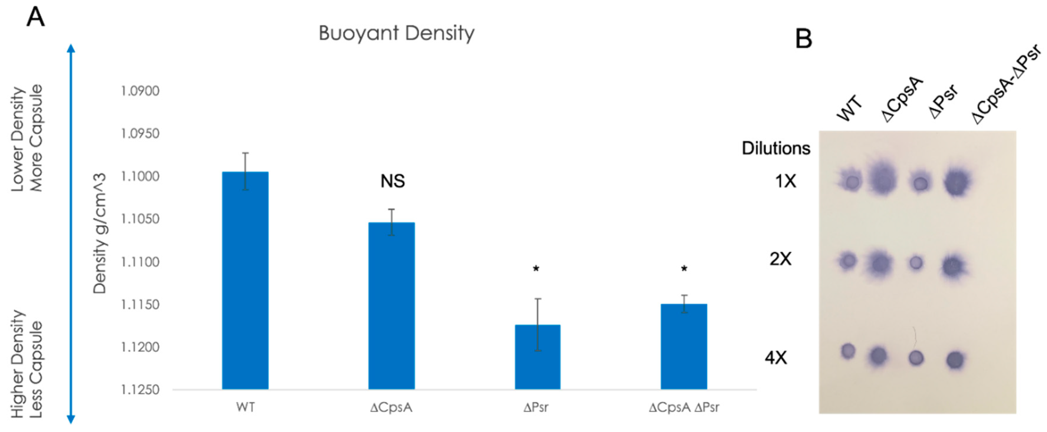 Microorganisms 10 00217 g008