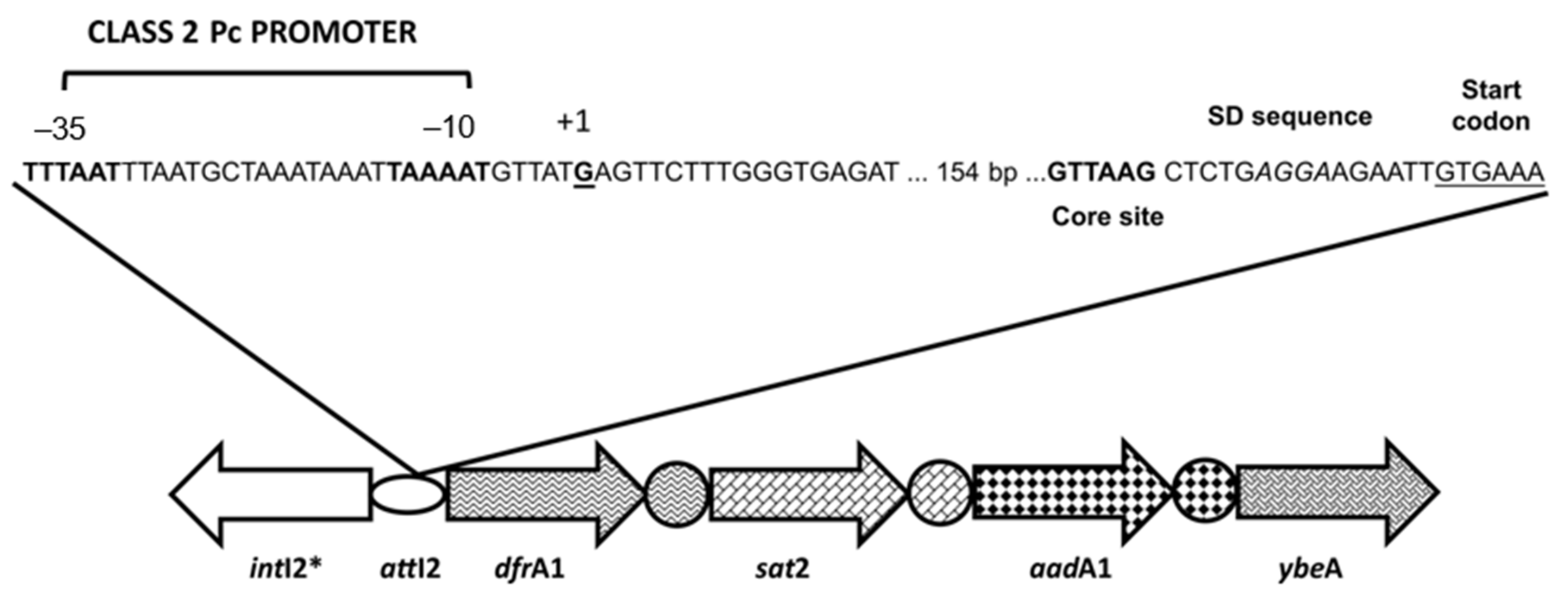 Microorganisms 10 00224 g002