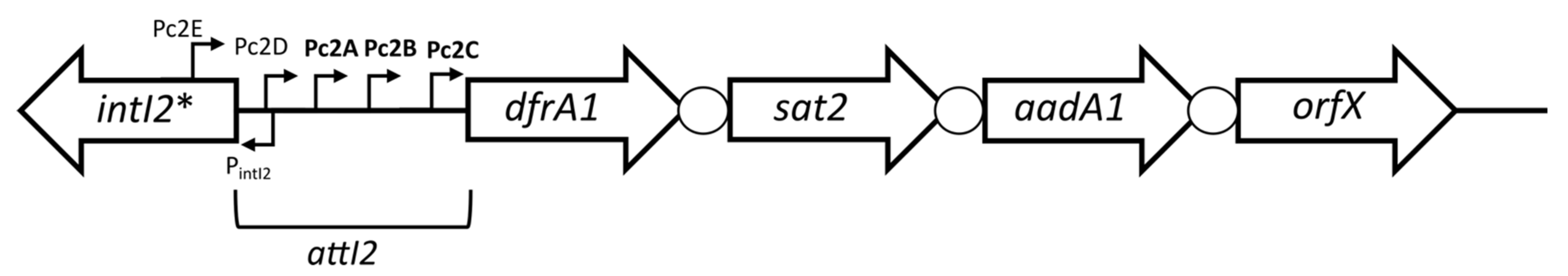 Microorganisms 10 00224 g003