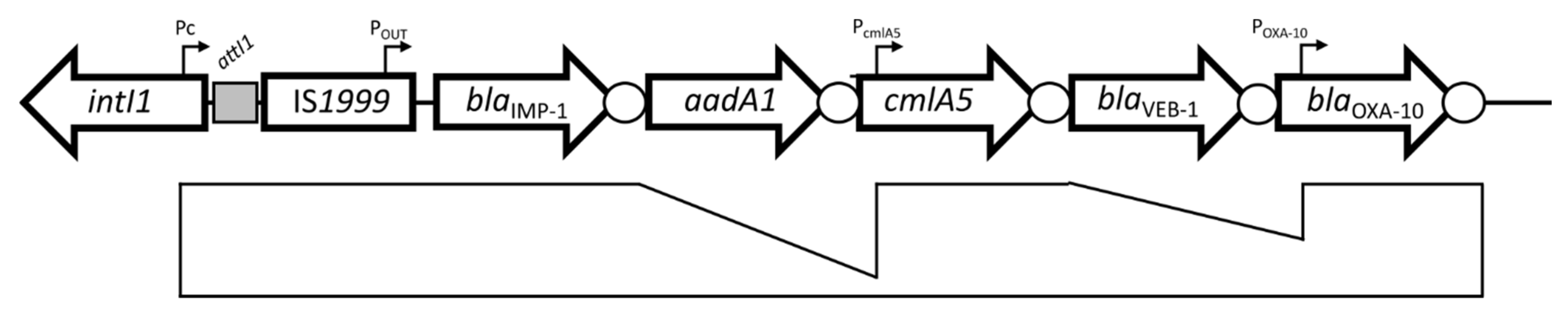 Microorganisms 10 00224 g004