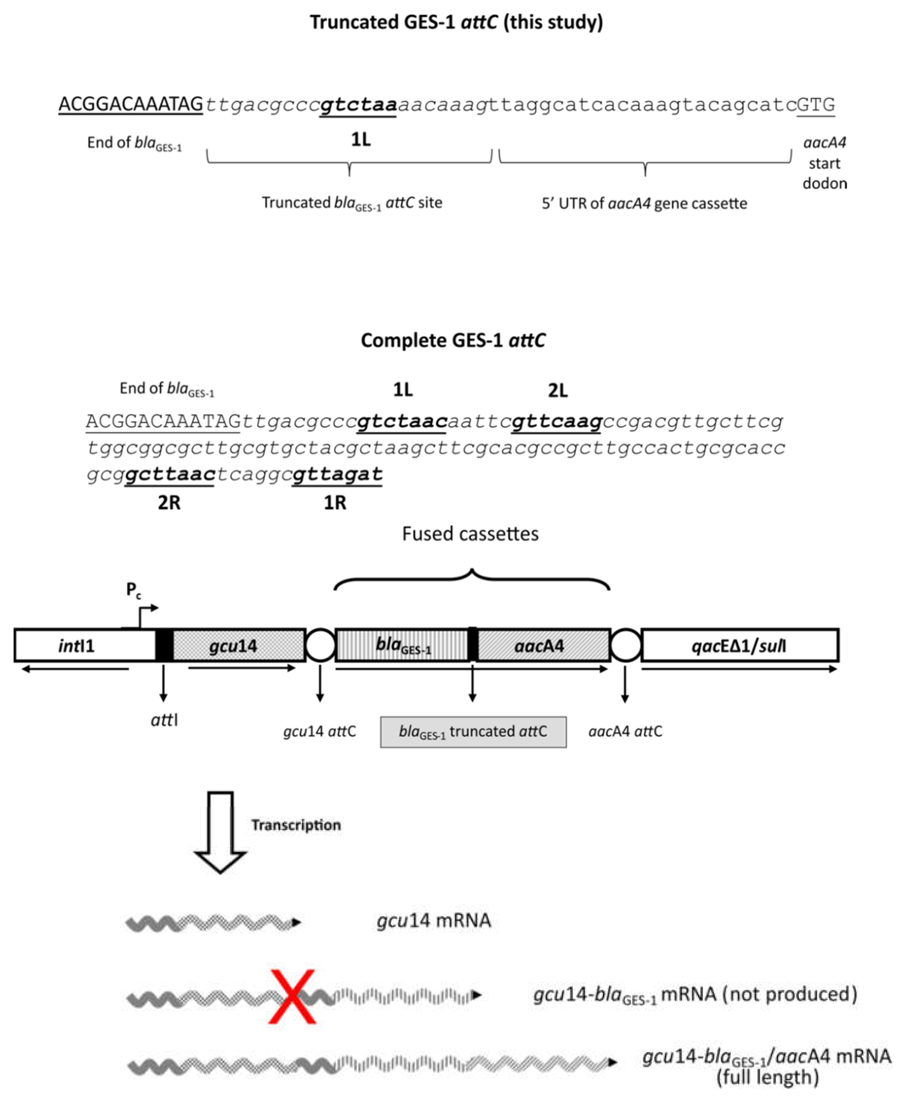 Microorganisms 10 00224 g007
