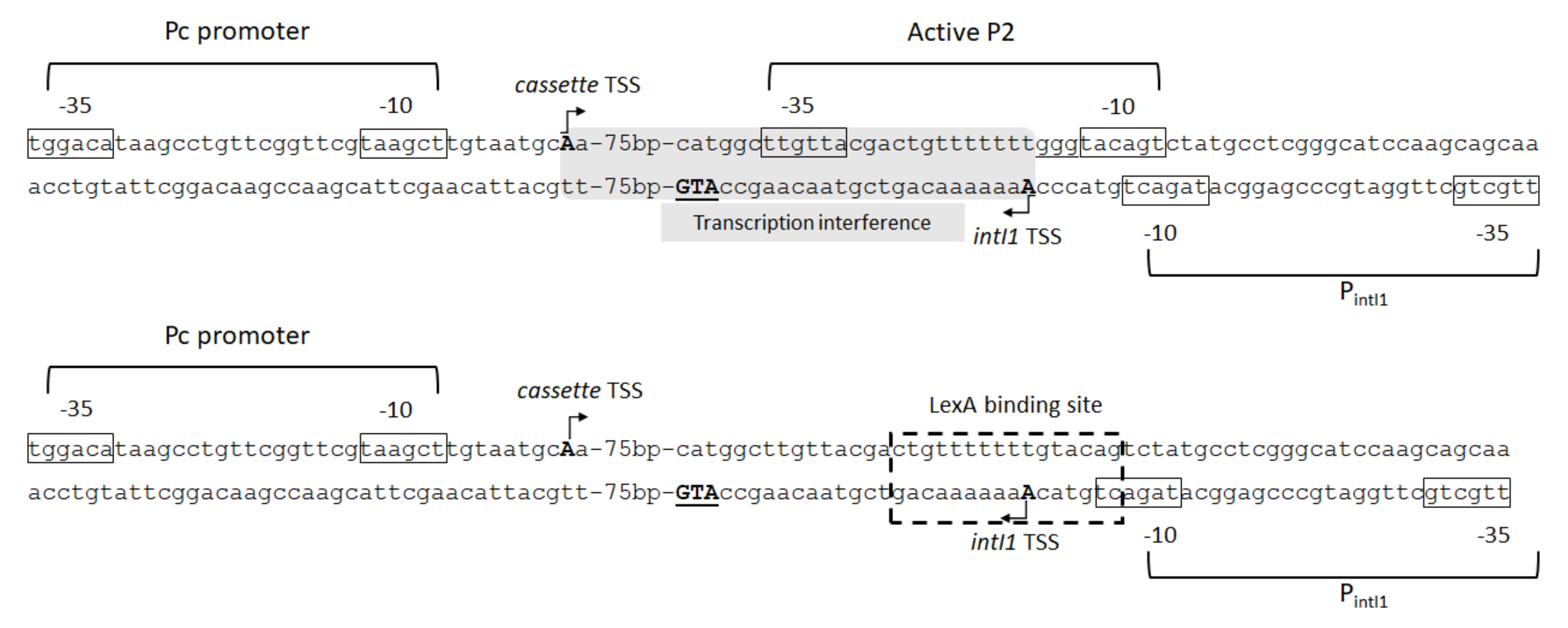 Microorganisms 10 00224 g008