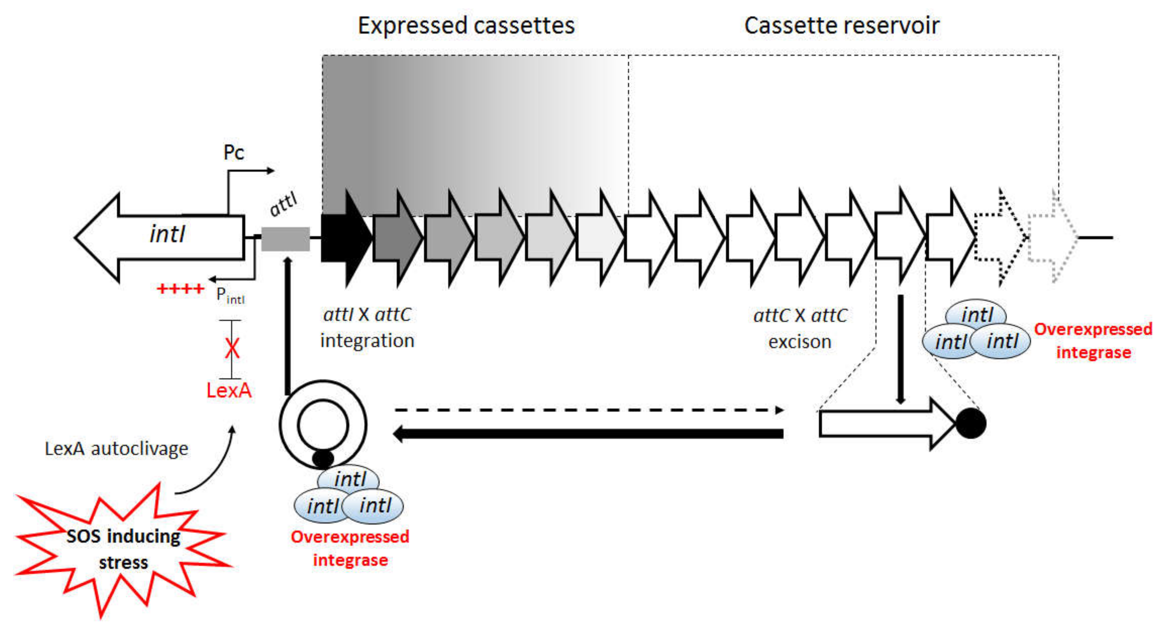Microorganisms 10 00224 g009