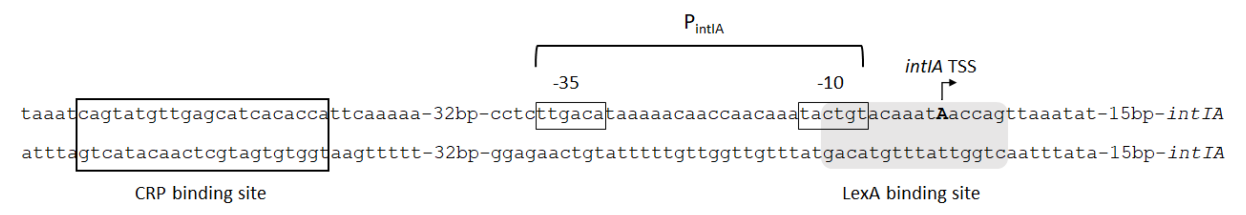 Microorganisms 10 00224 g010