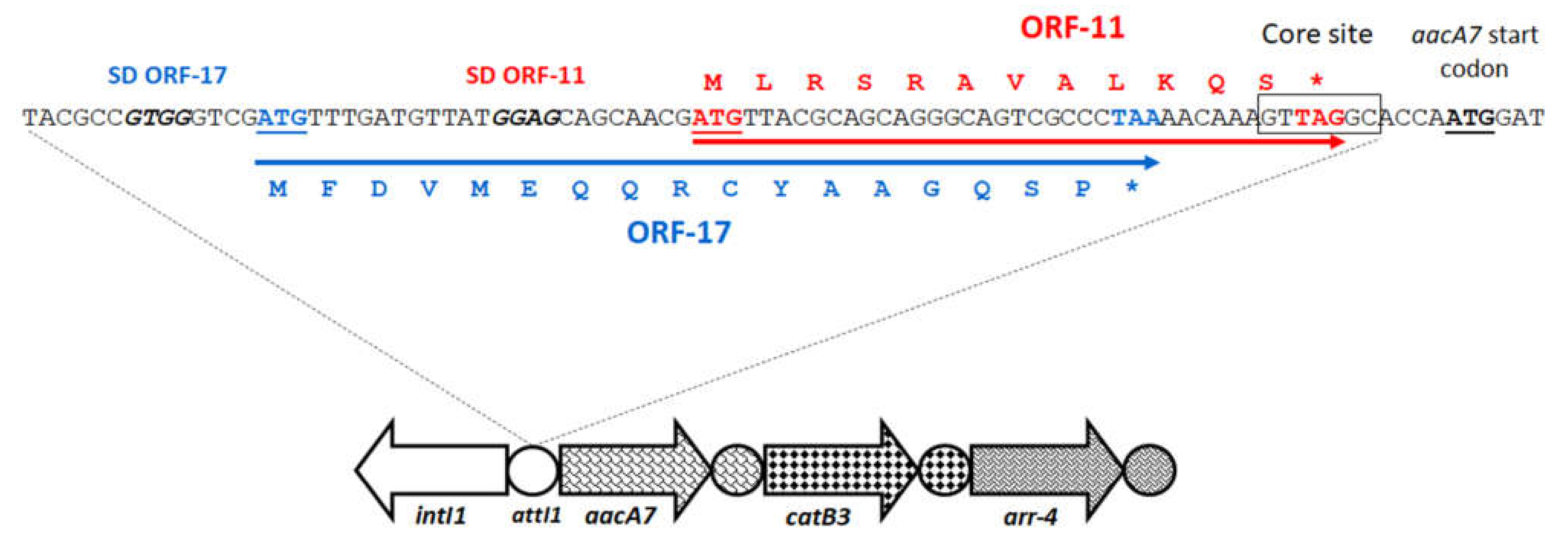 Microorganisms 10 00224 g011