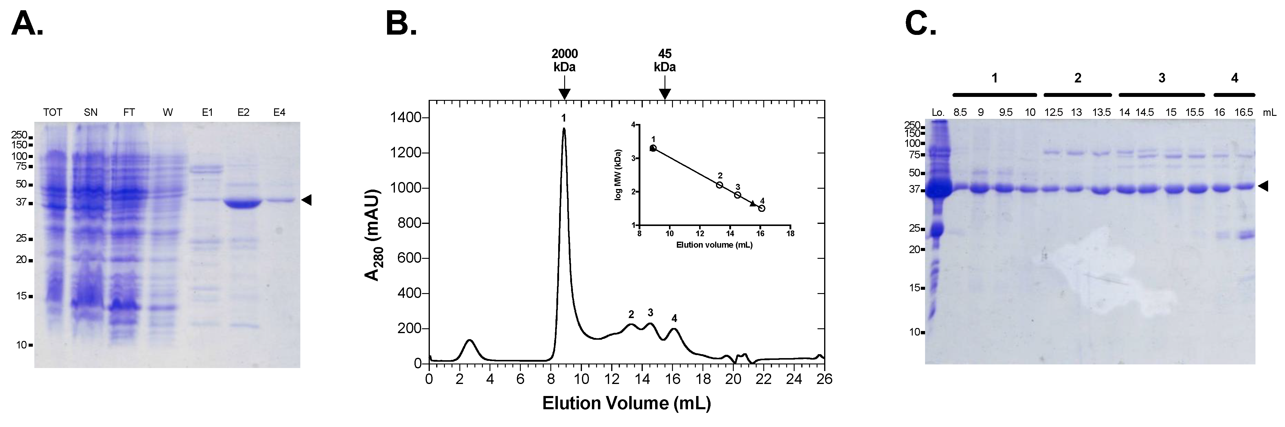 Microorganisms 10 00231 g002