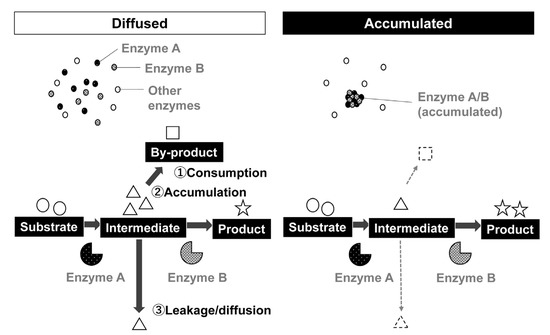 Microorganisms 10 00232 g001 550